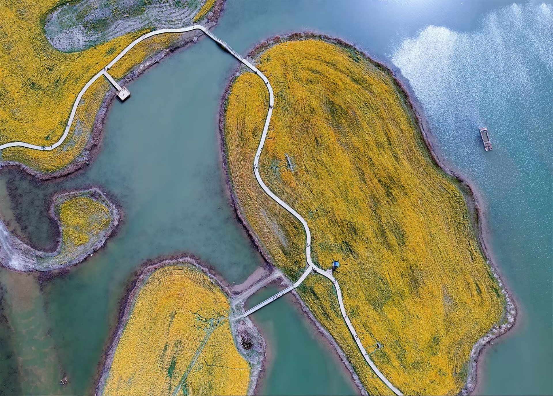 陈桥湿地公园