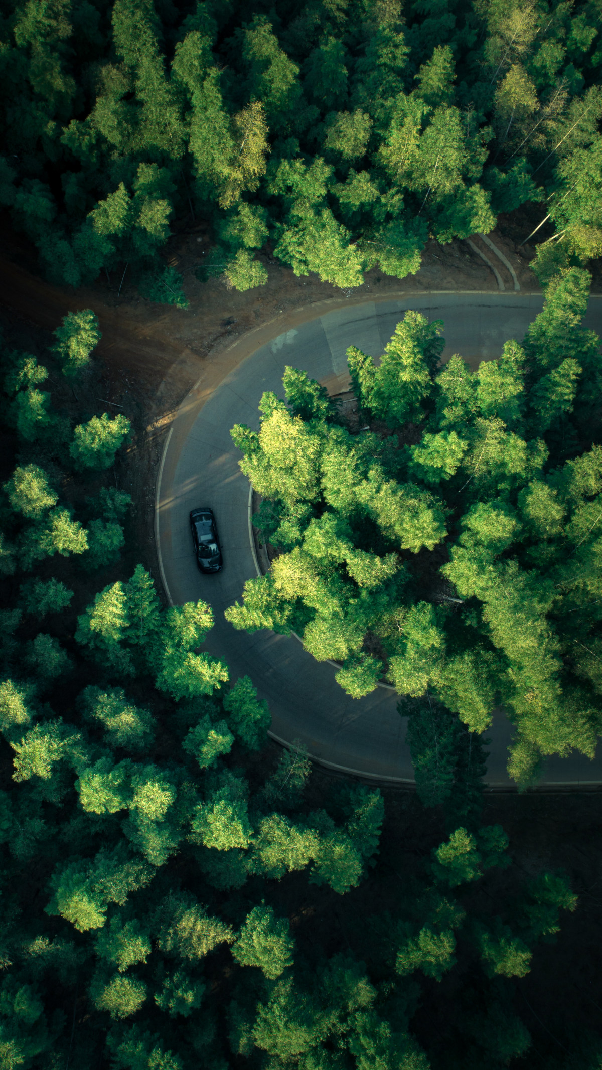 竹林弯道turning Road Of Bamboo Forest By 天空之城上帝之眼 Skypixel