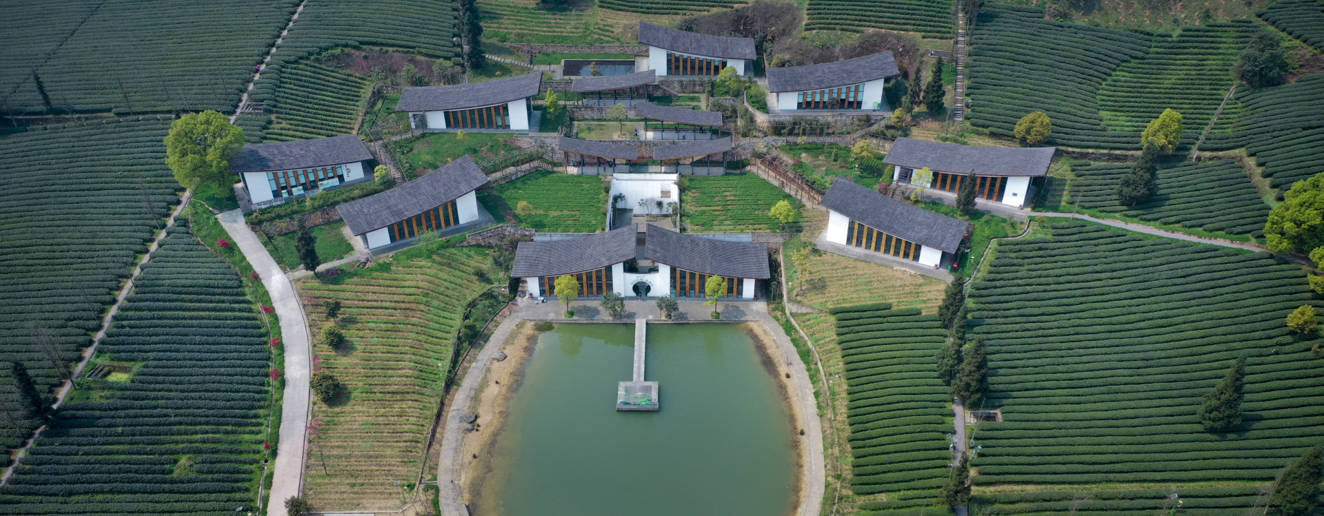定心茶园