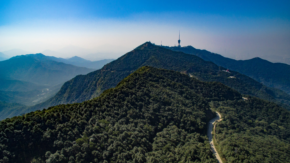 中國深圳梧桐山