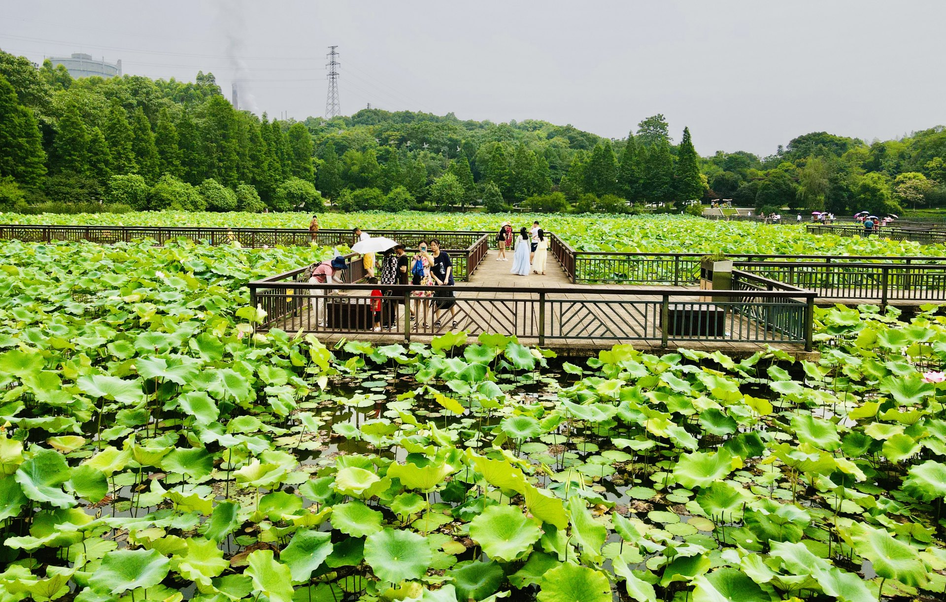 衡阳南湖公园图片图片