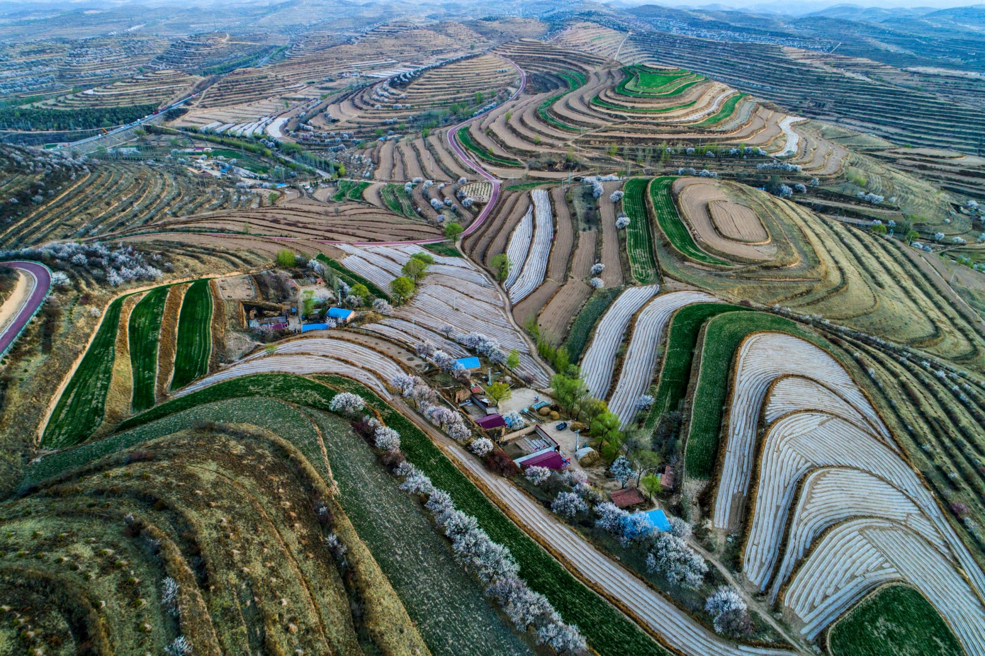 金鸡坪梯田
