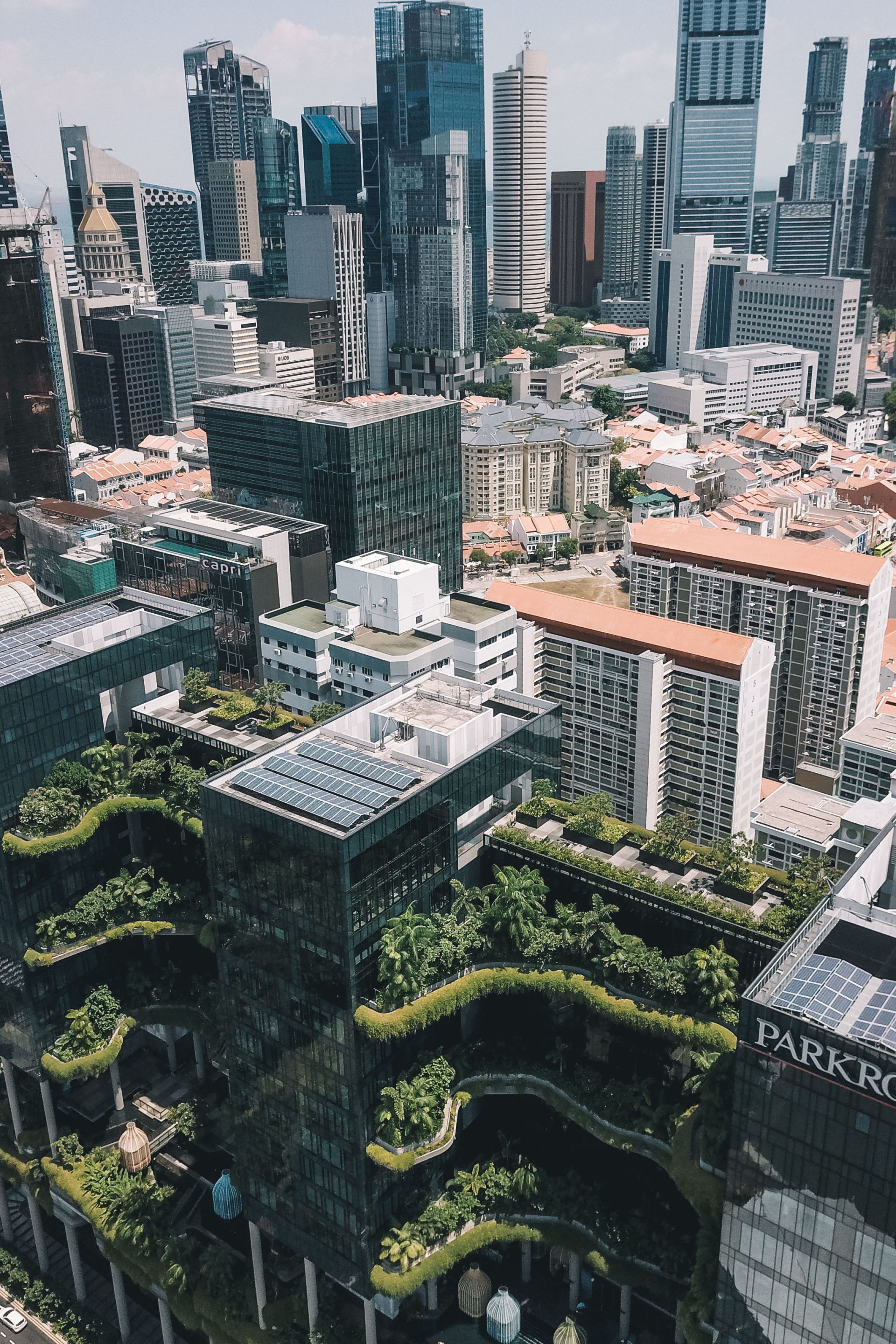 新加坡的建筑上的秘密花园