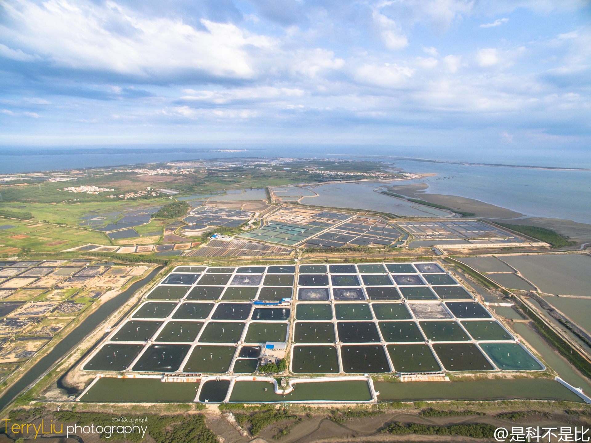 湛江东海岛产业园图片
