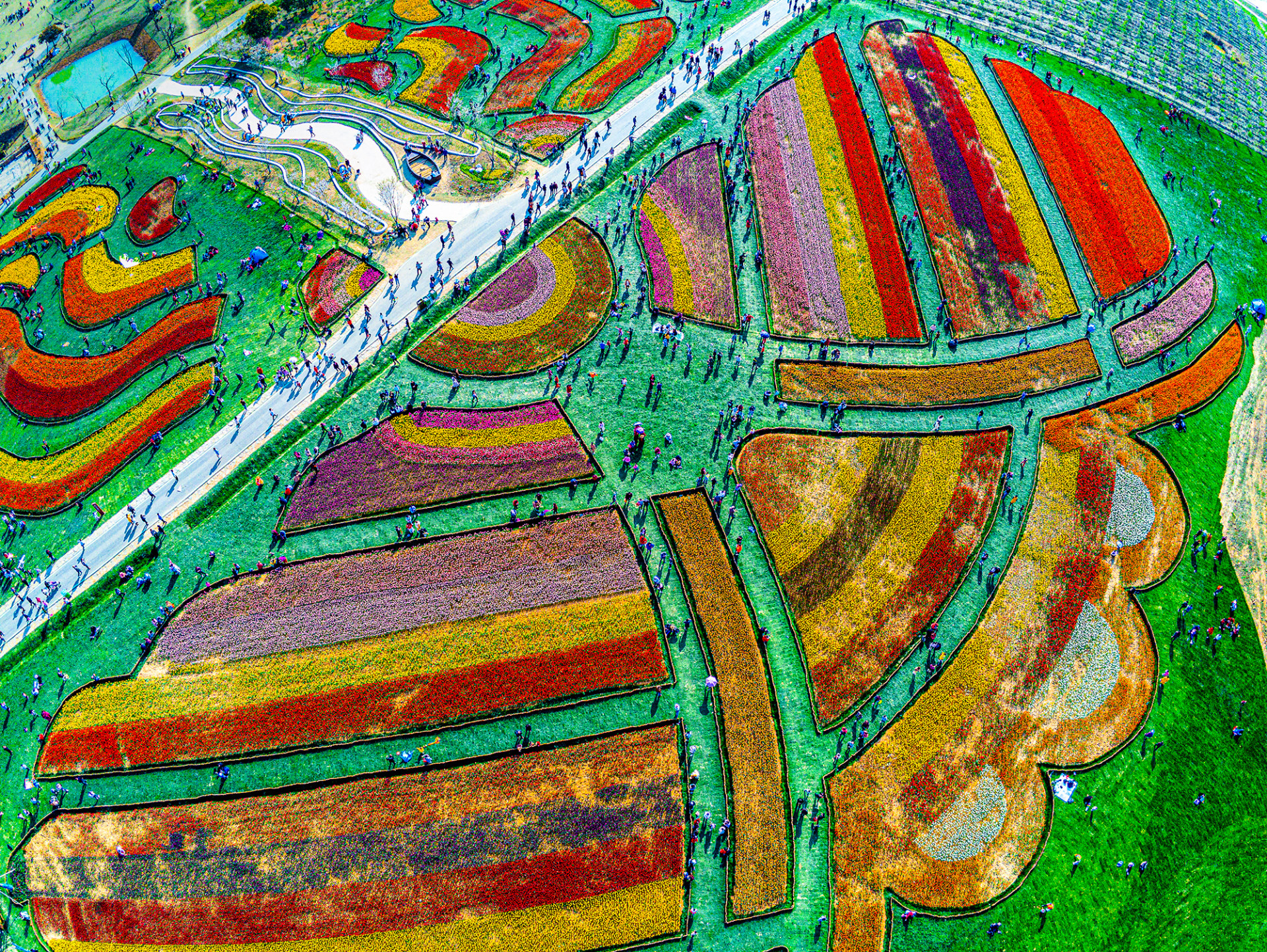 五彩缤纷的大地p1550186