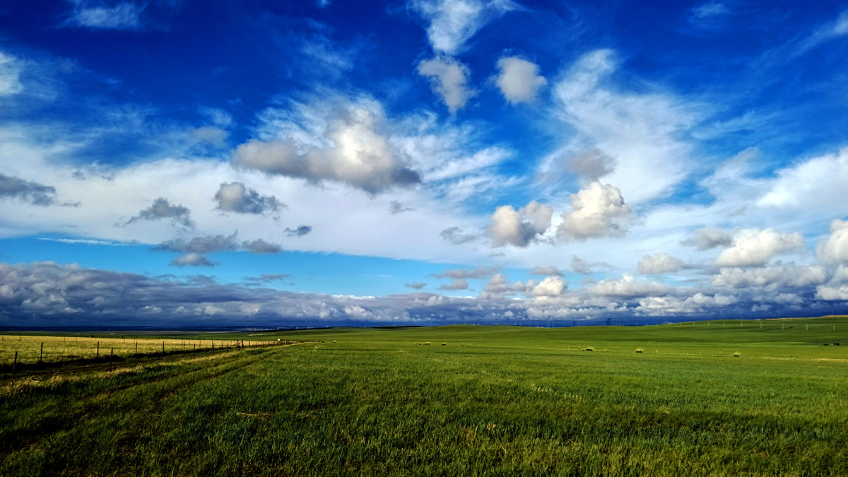 心中的那片草原