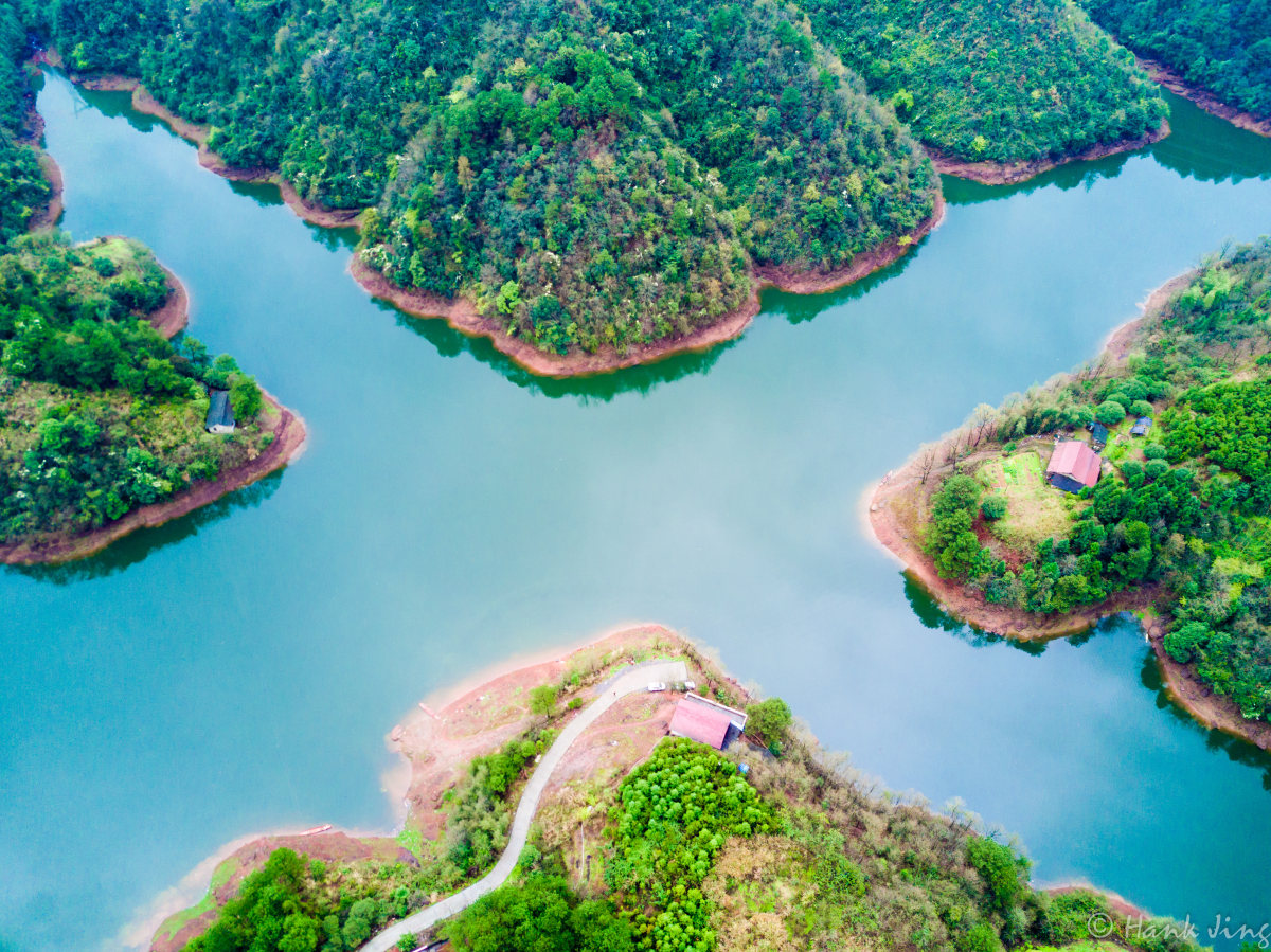 竹林湖bambooforest