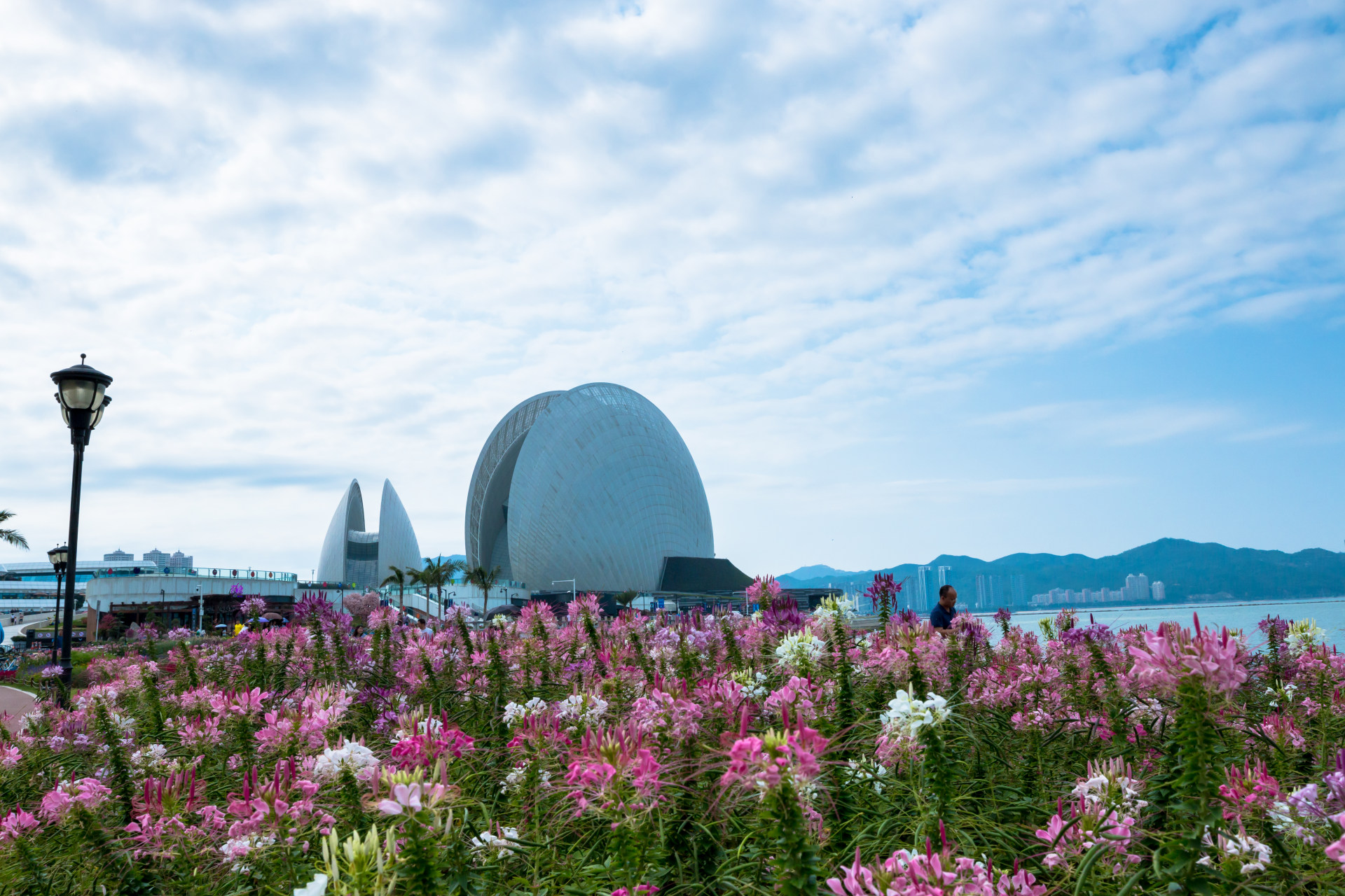 珠海日月贝