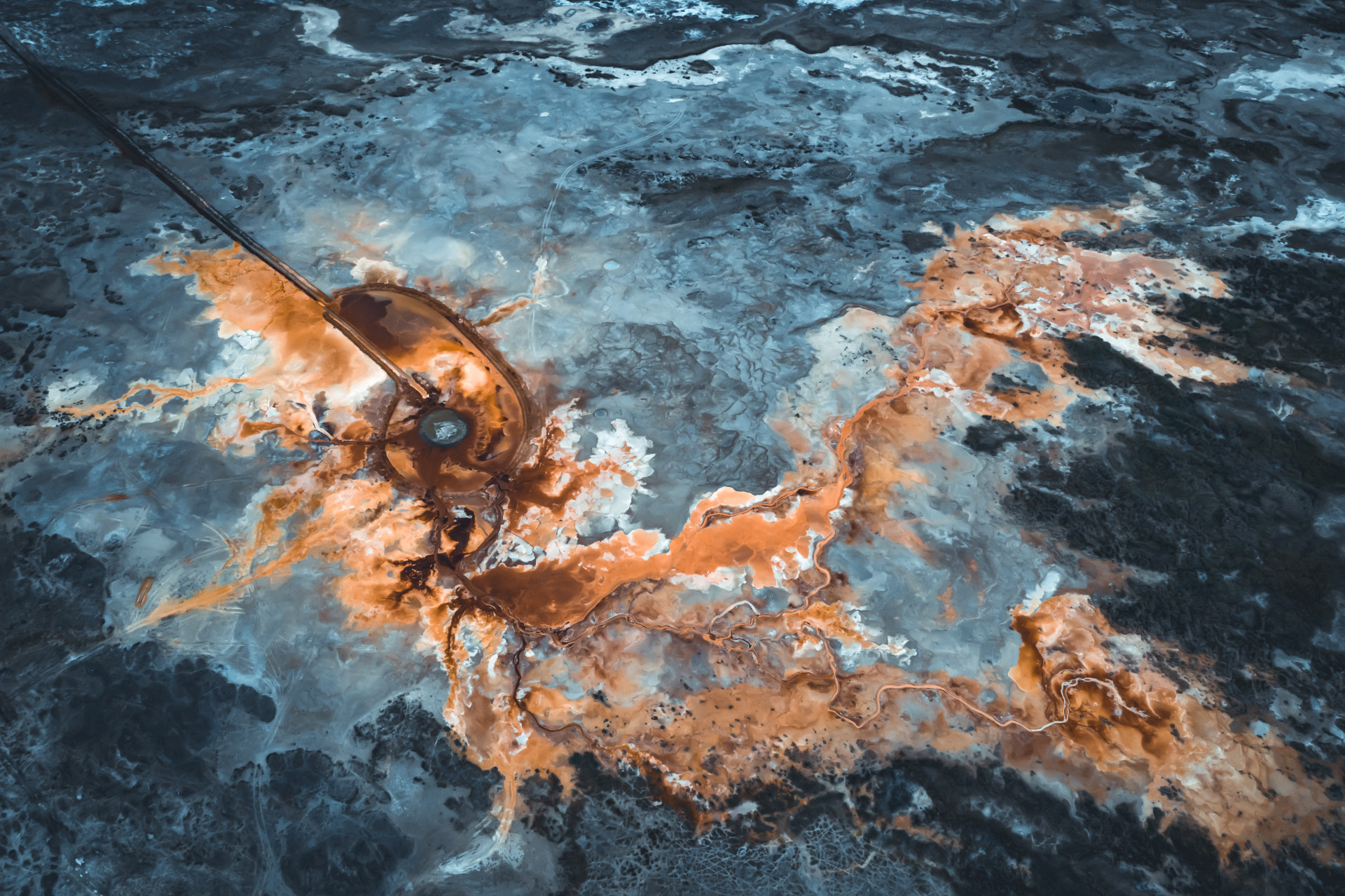 艾肯泉之不死鸟