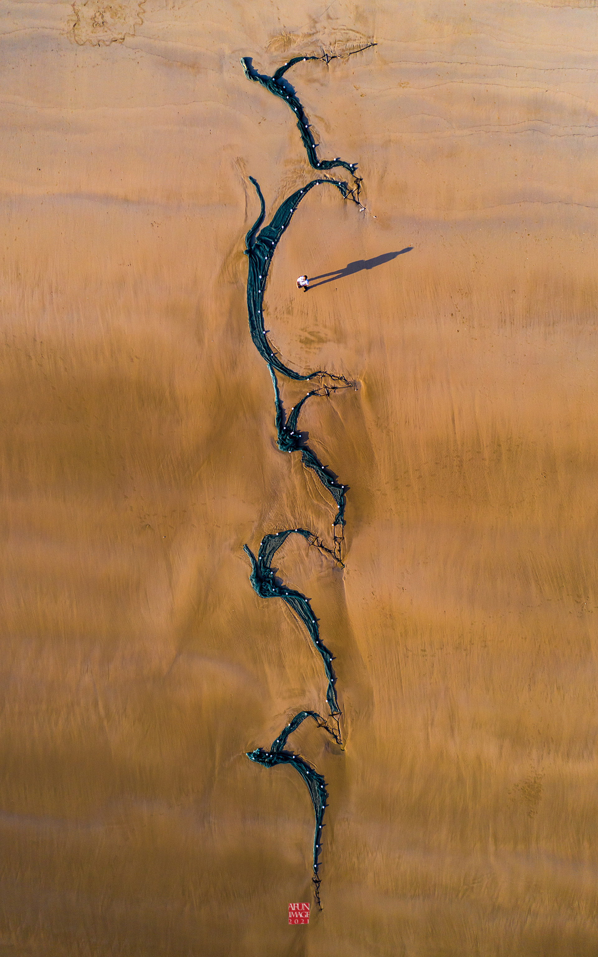 飞龙在天dragonflying