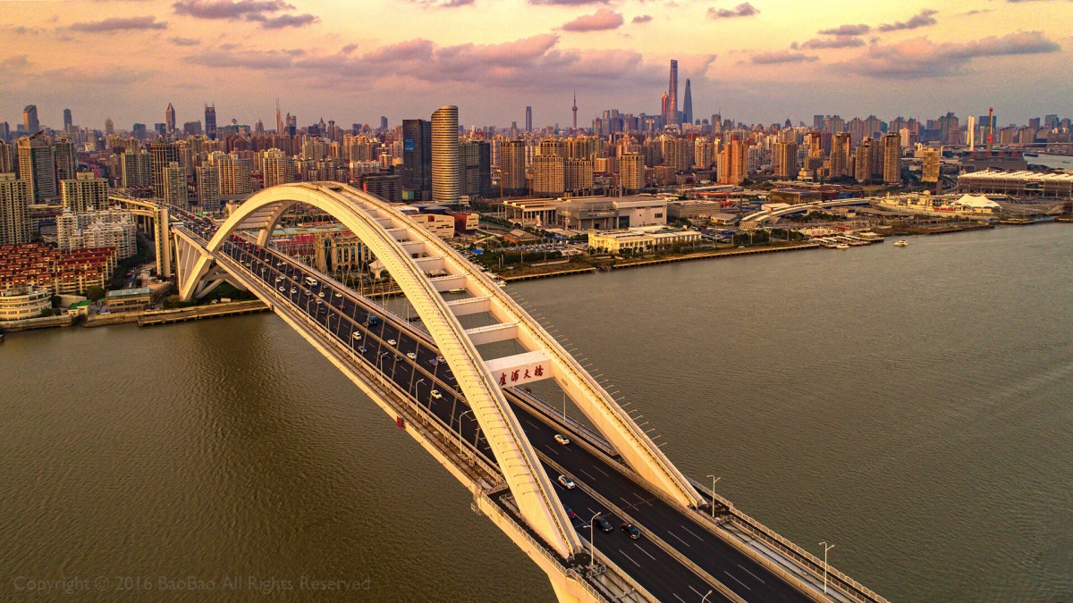 夕阳下的卢浦大桥