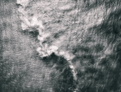 The Fisherman