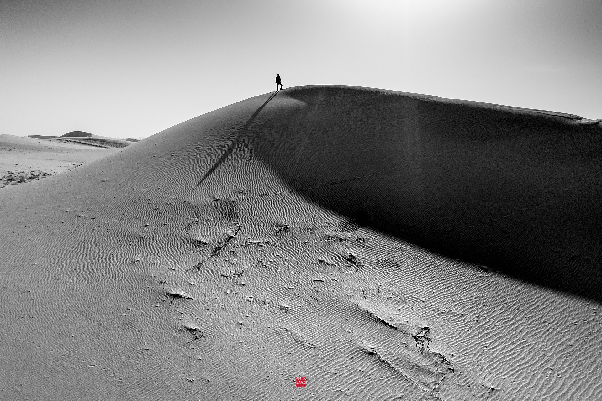 大漠独行desertalone