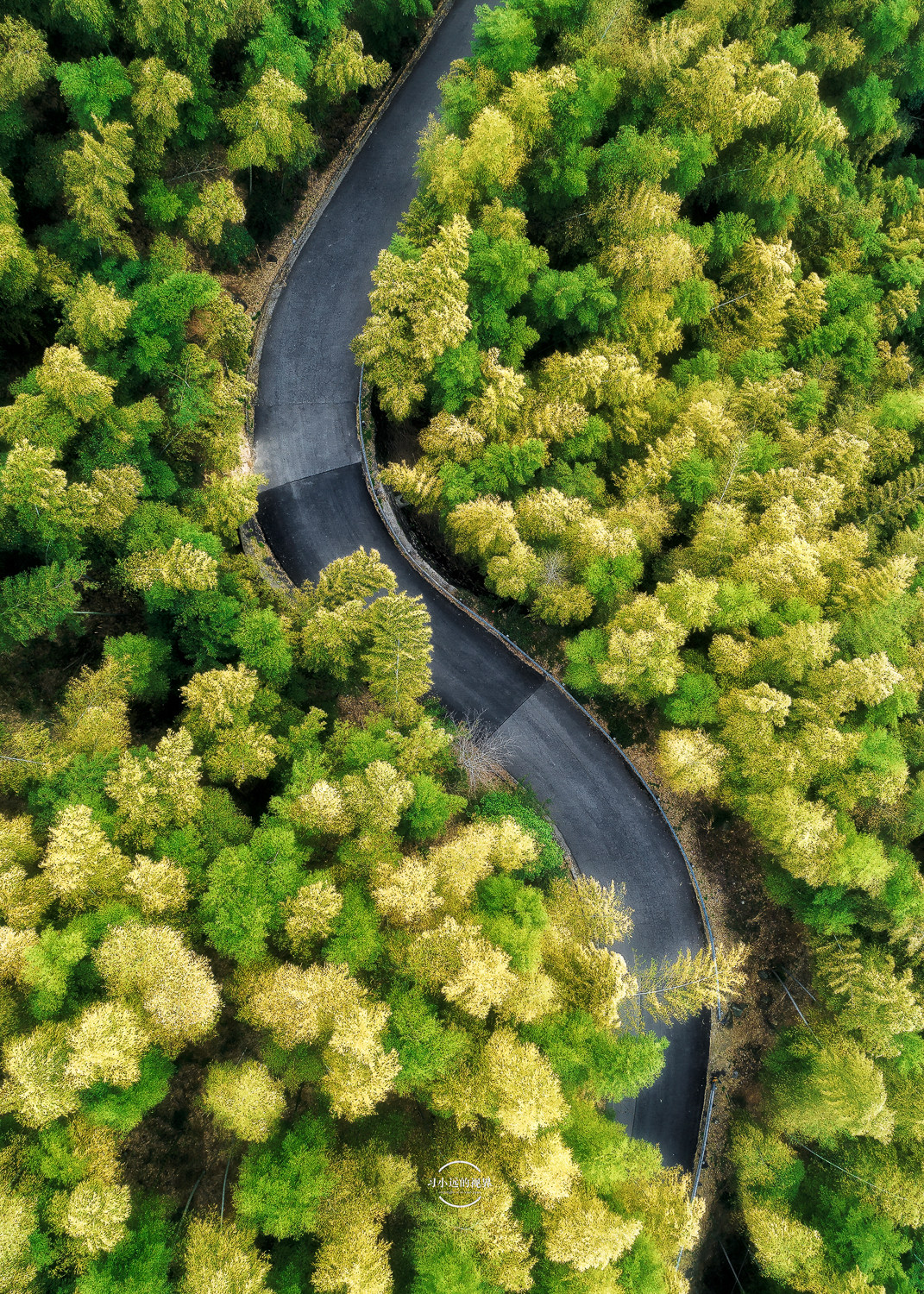 穿过竹林的山路by 习小远的视界 Skypixel