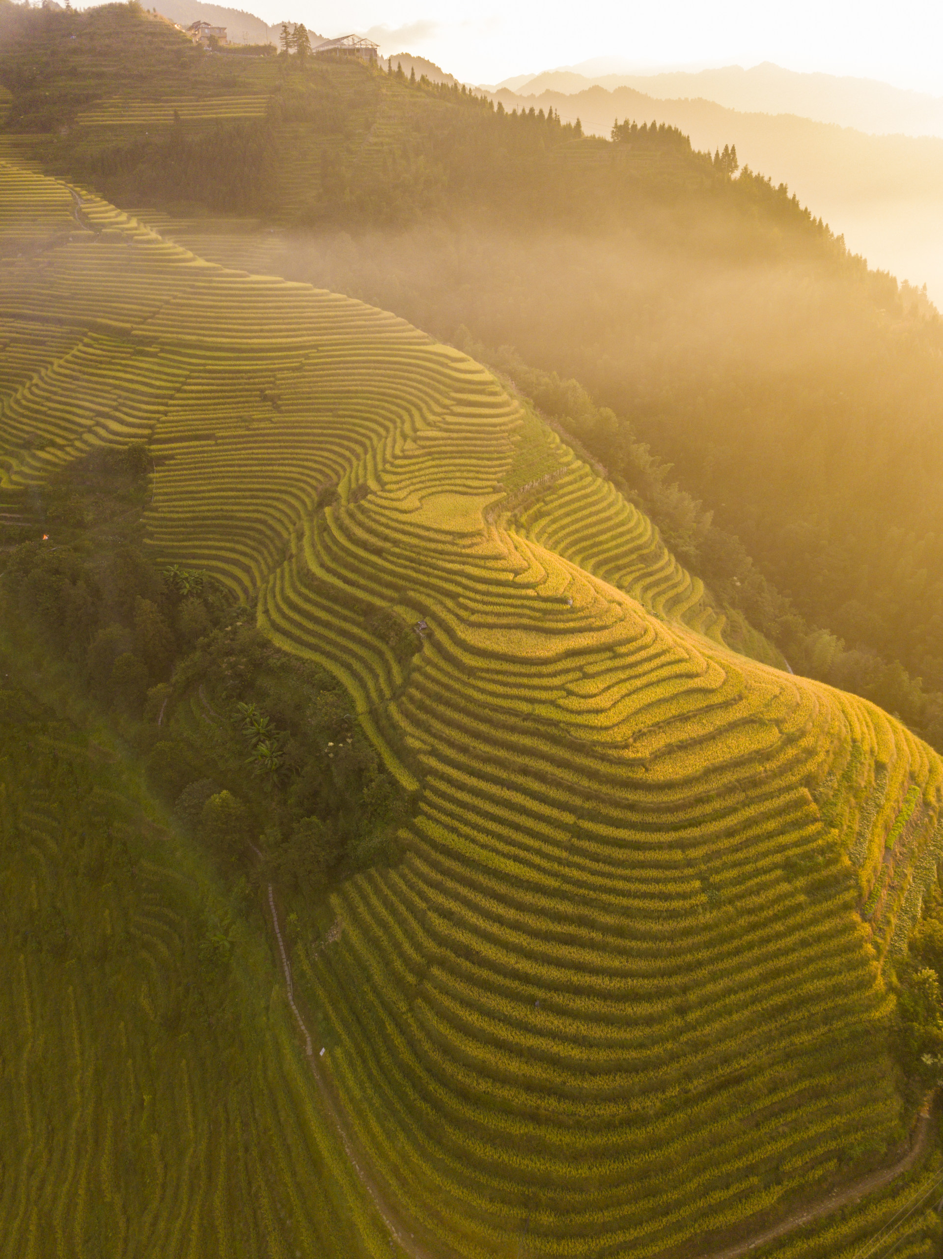 龙胜梯田