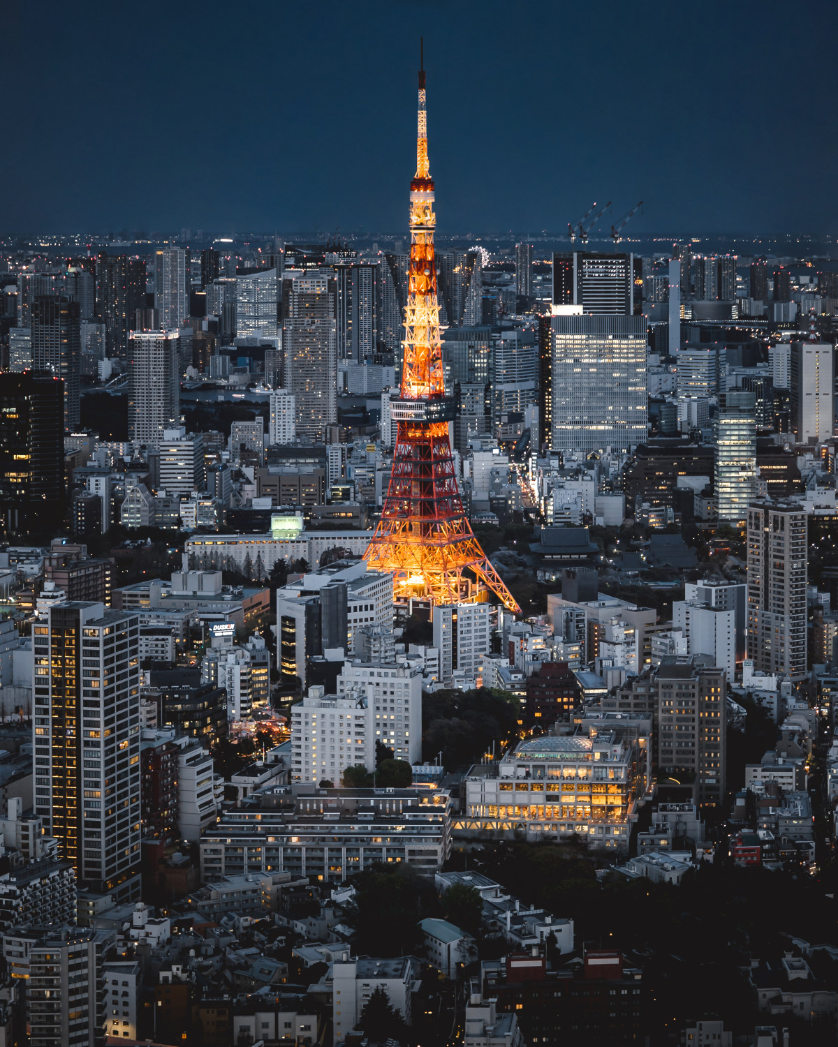 东京タワー 来自 丁亦然 | 天空之城