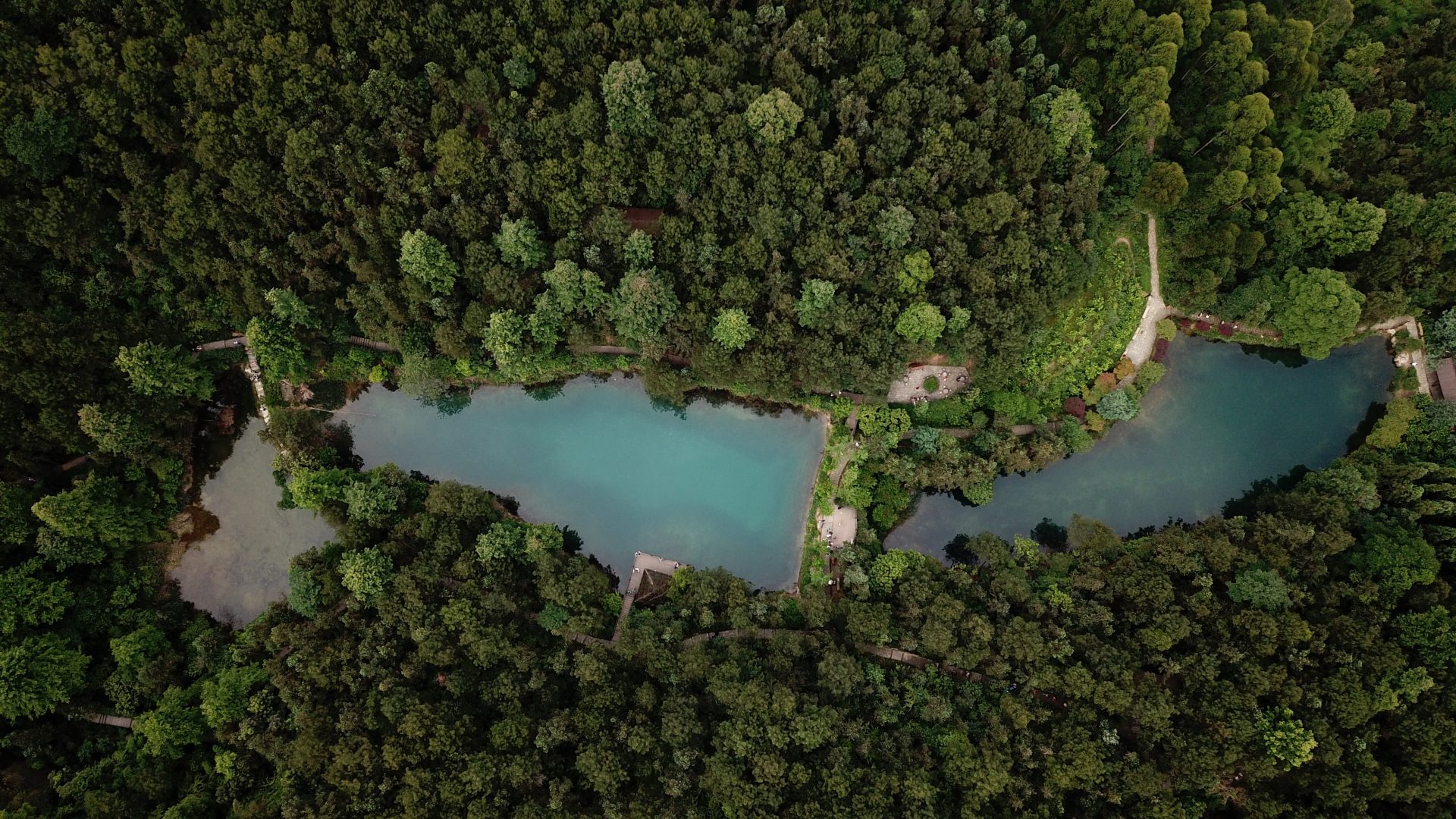 九凤山.森林之眼