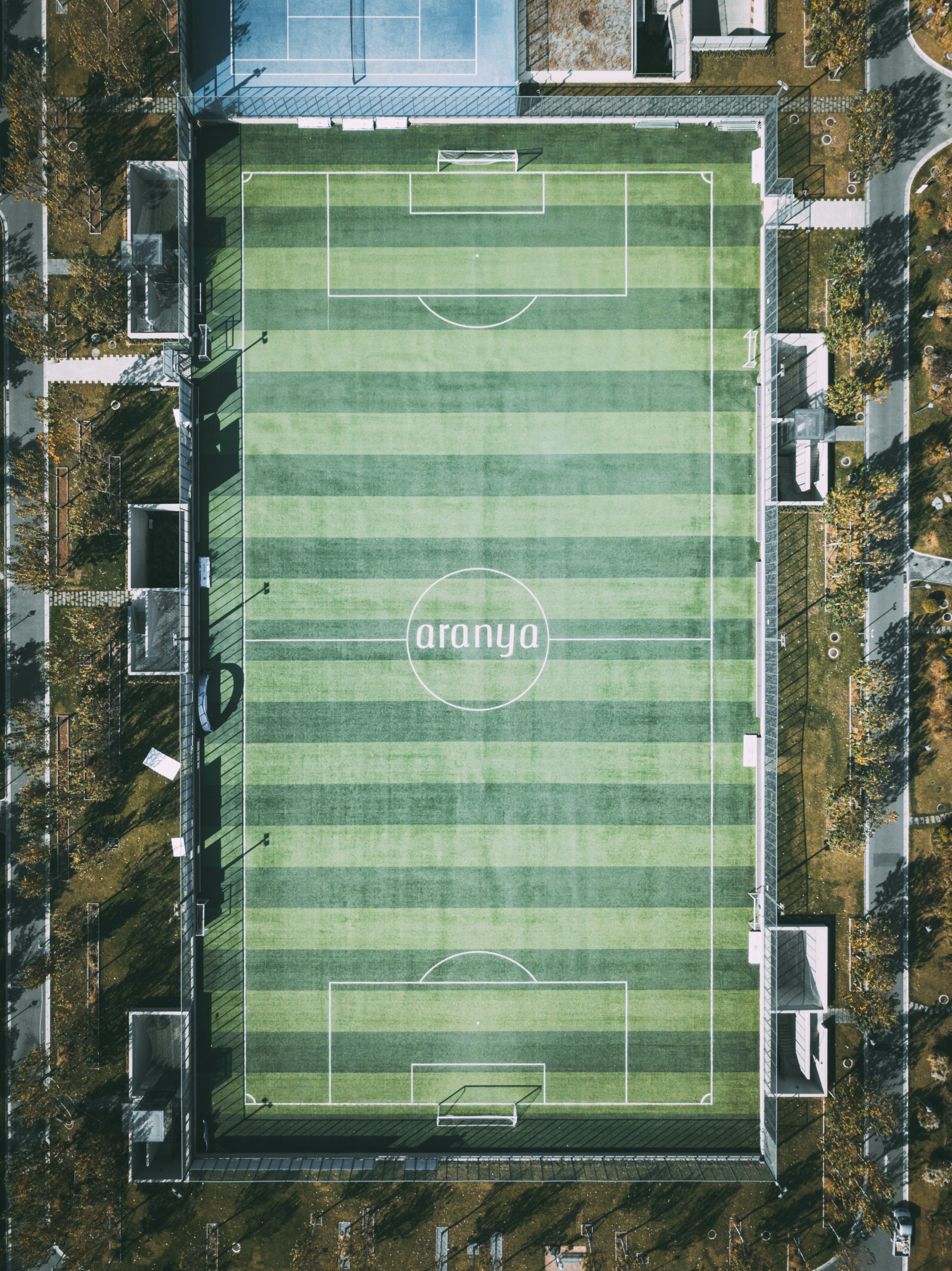 阿那亚的足球场