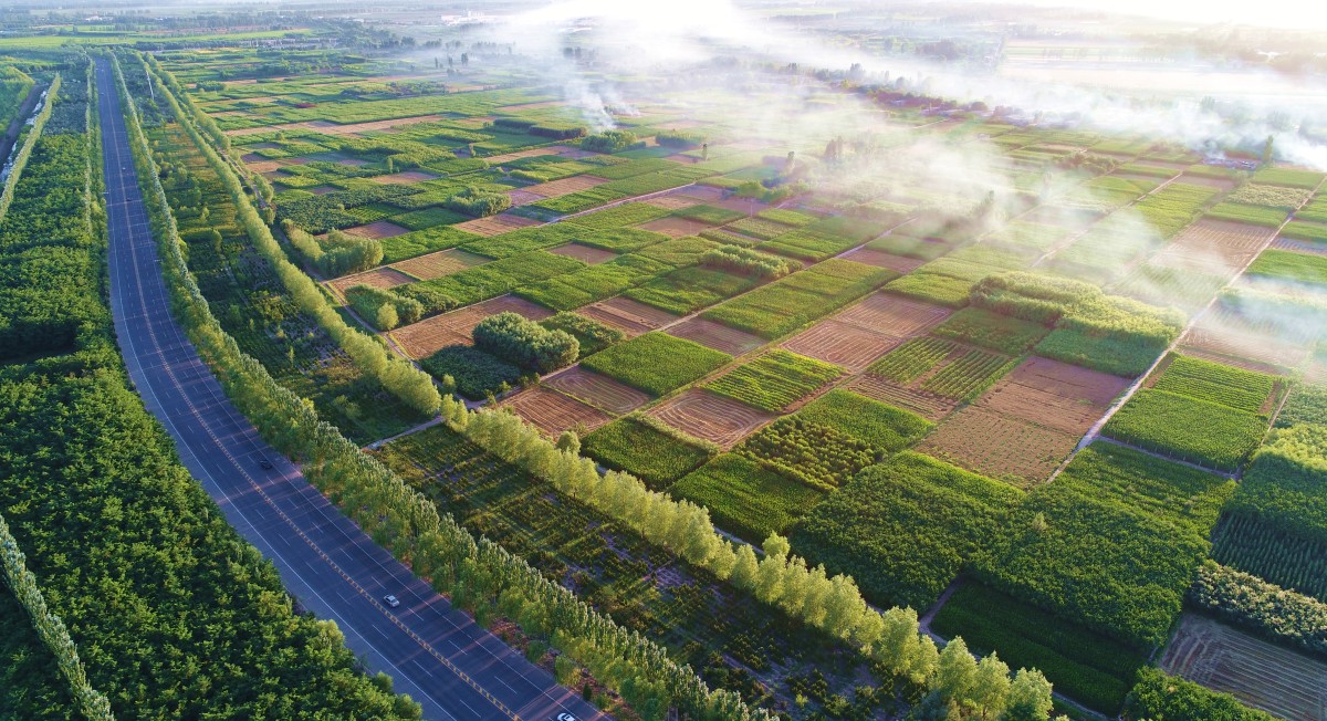 塞上画廊(摄于银川滨河大道)