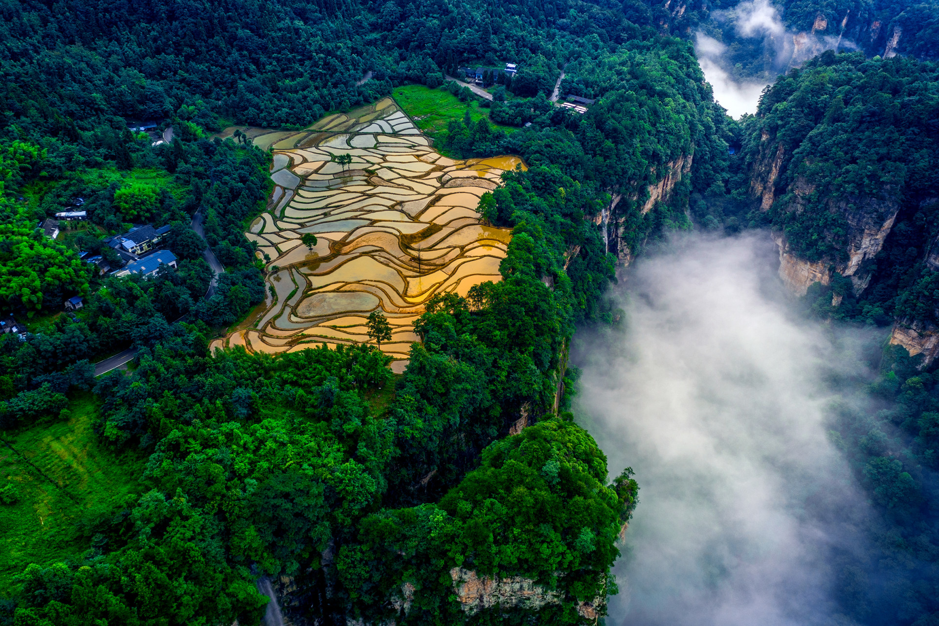 2 - iso 100 地理位置 无 拍摄于张家界武陵源