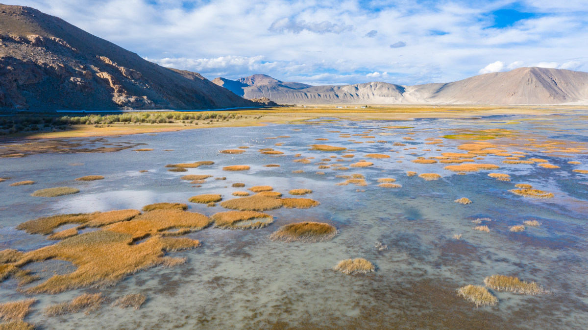 定结湿地dingjiewetland