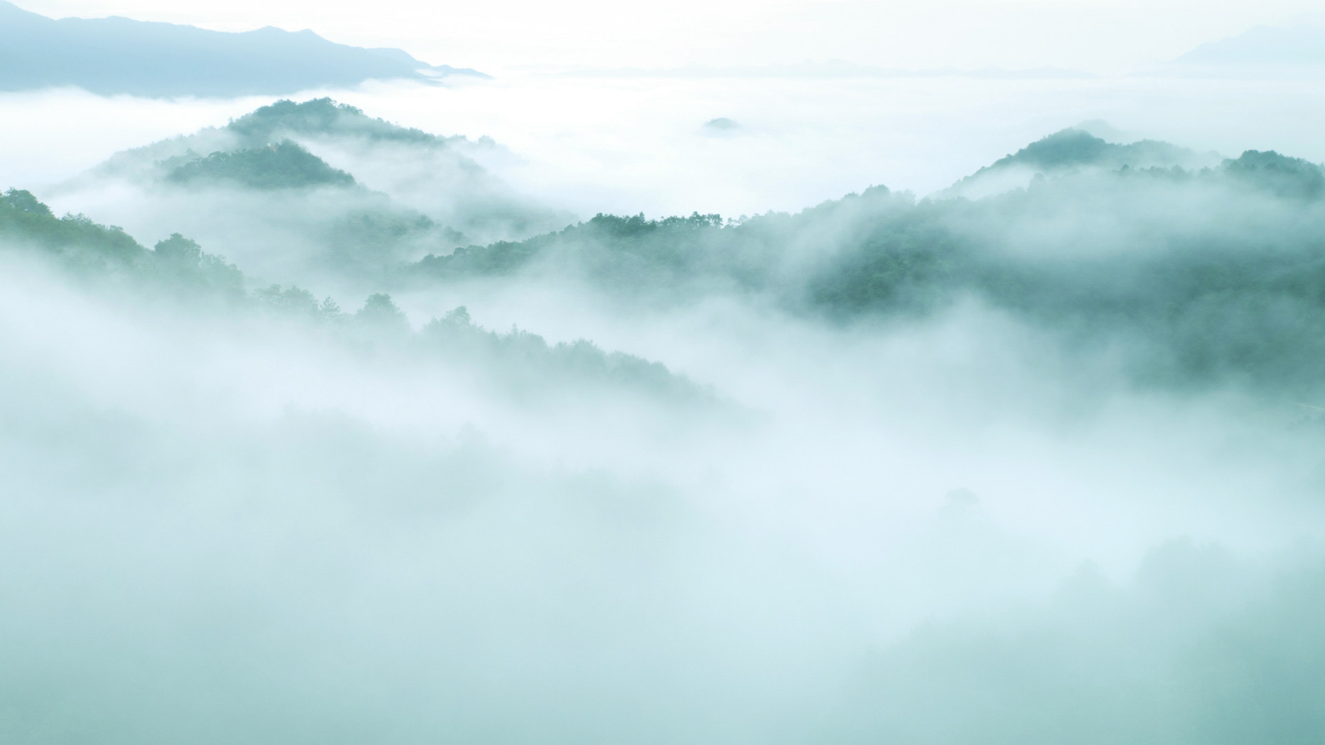 雾隐秘境fog hidden secret place