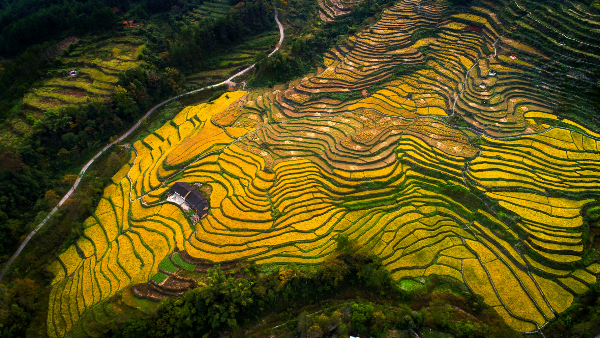 瑤山九寨梯田