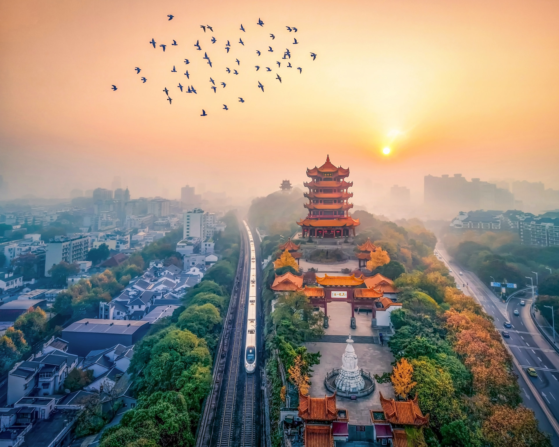 黄鹤的故乡