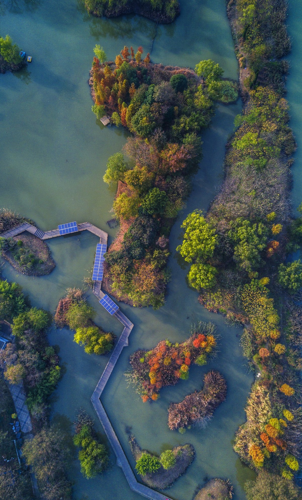 航拍南京七桥瓮湿地公园