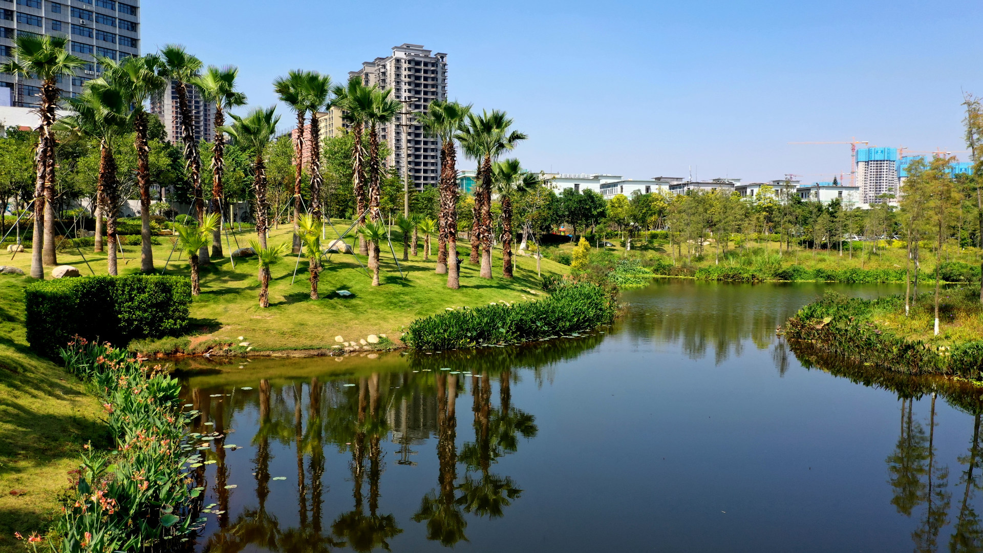 新桥街道的风光