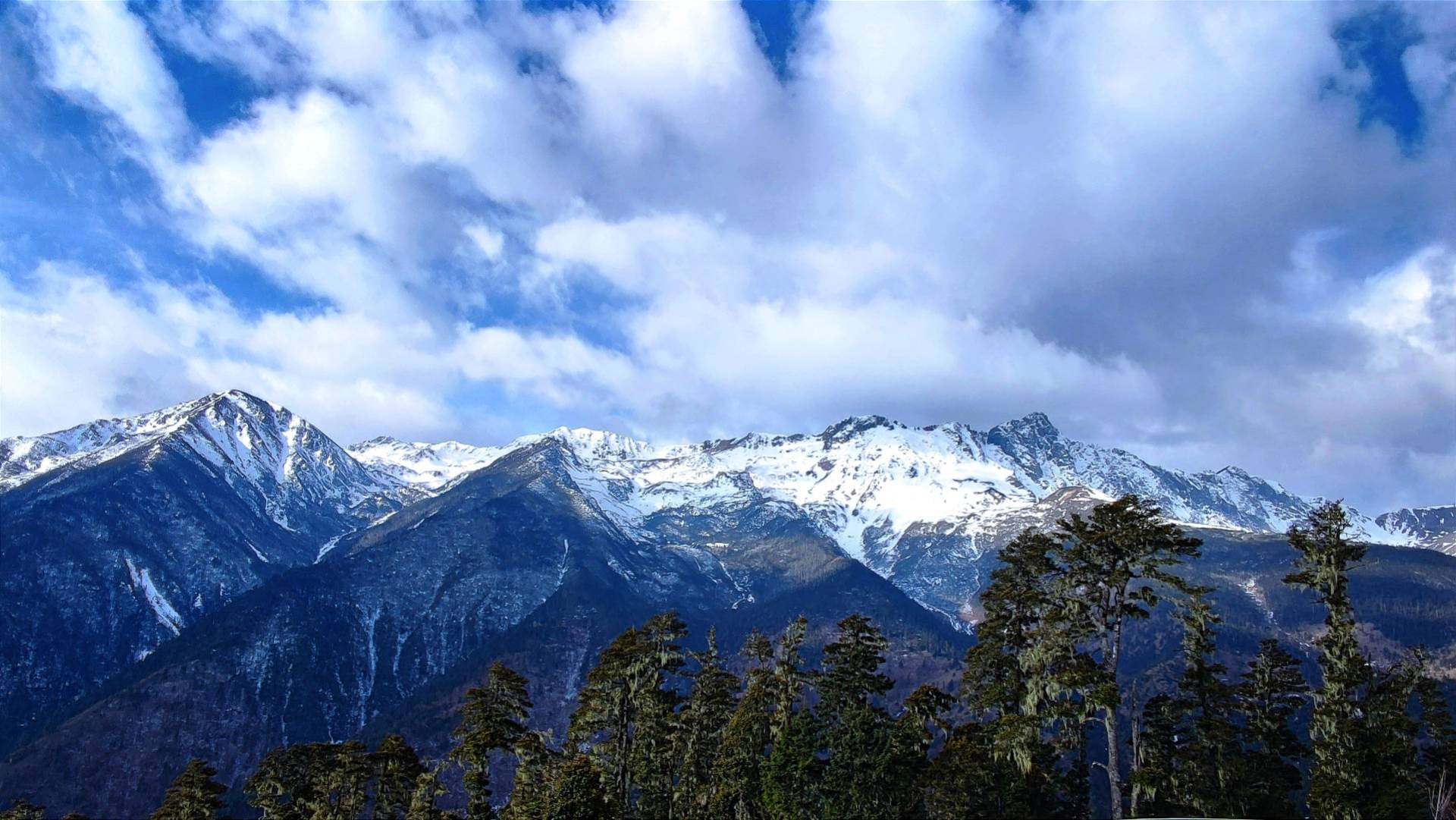 白马雪山垭口(海拔4292)