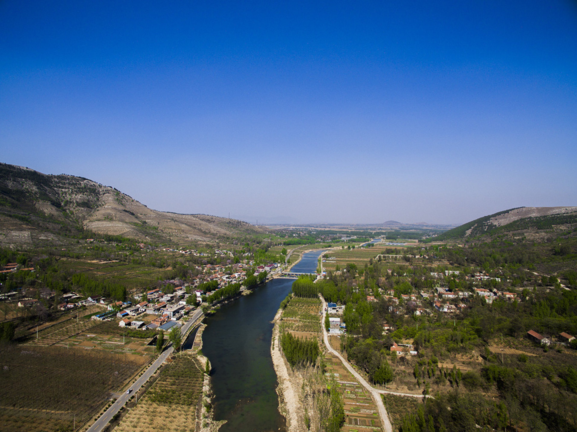 中国-山东省-临沂市-蒙阴县-桃墟镇-前程村