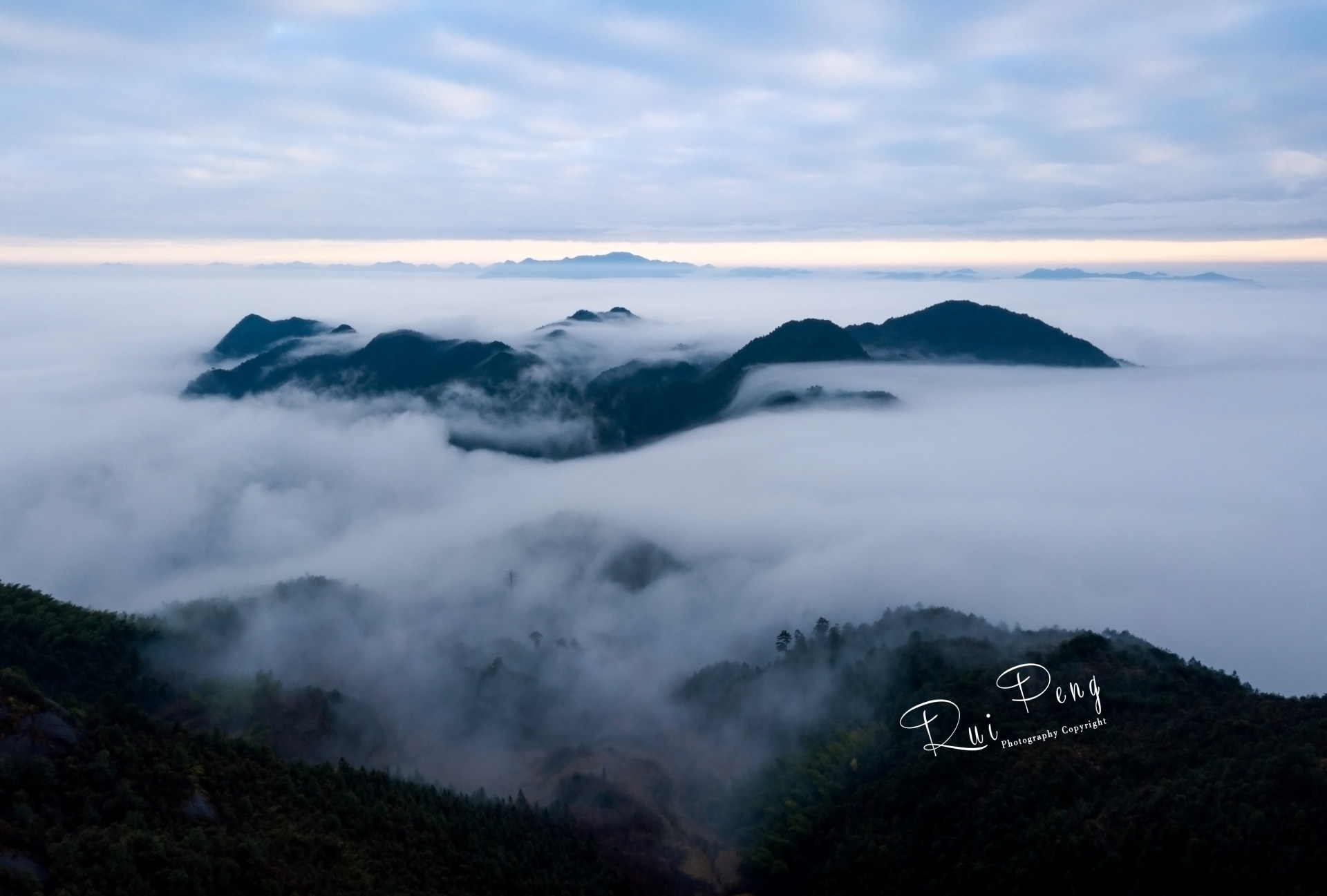 海拔1100左右的高山云雾 松阳 岱头