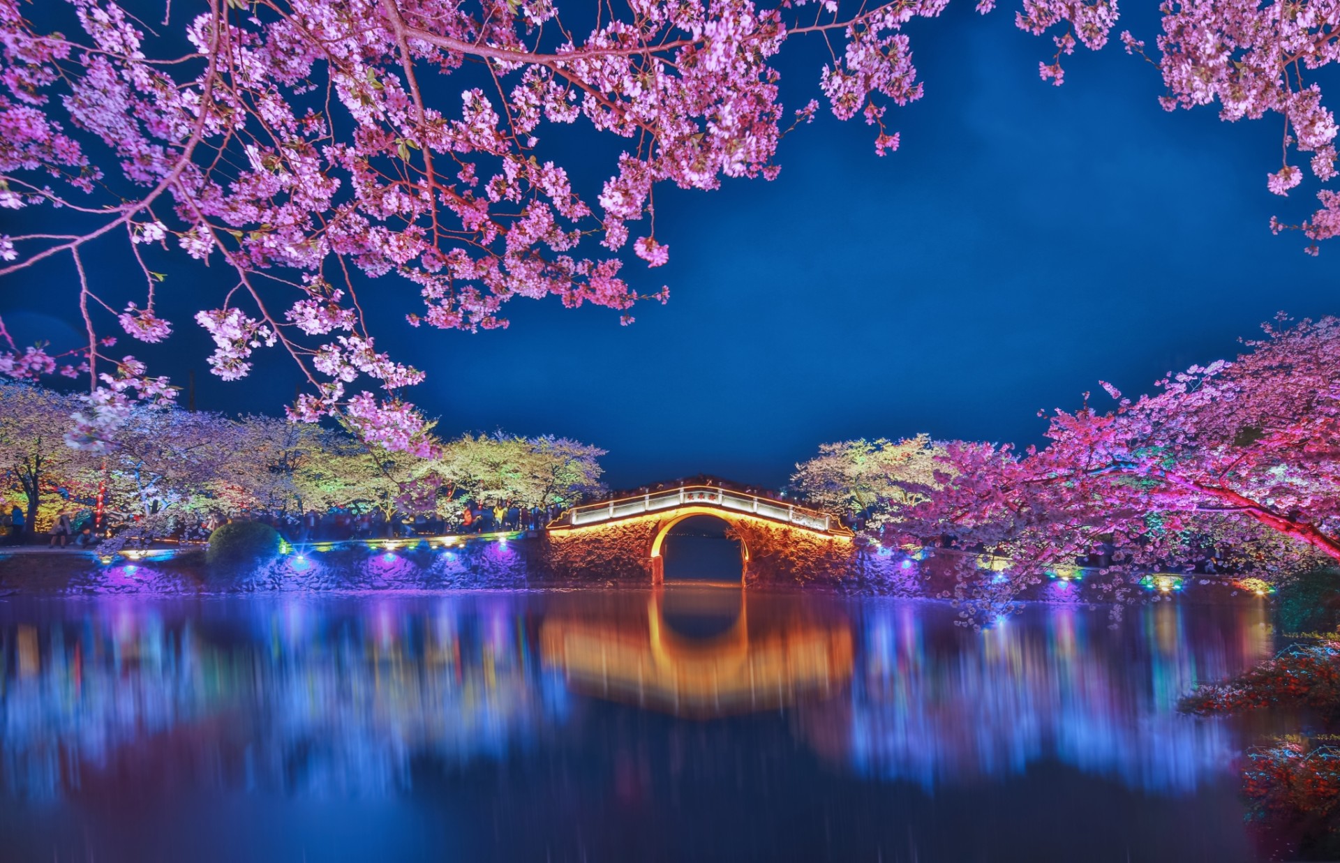 无锡樱花长春桥