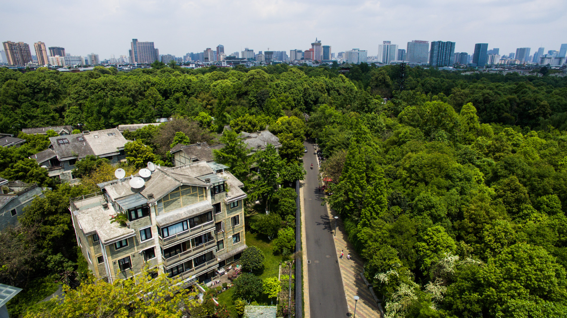 中江boss城森林城市图片