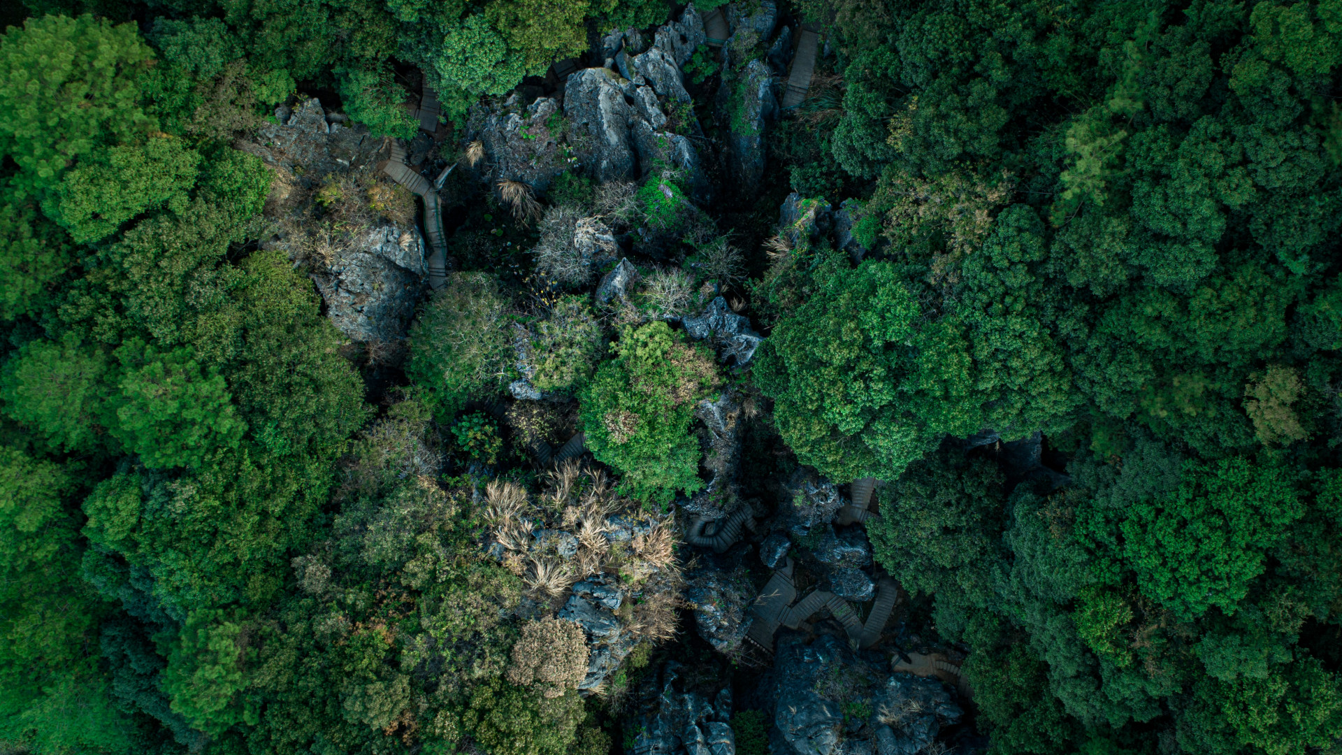 鱗隱石林①linyinstoneforest