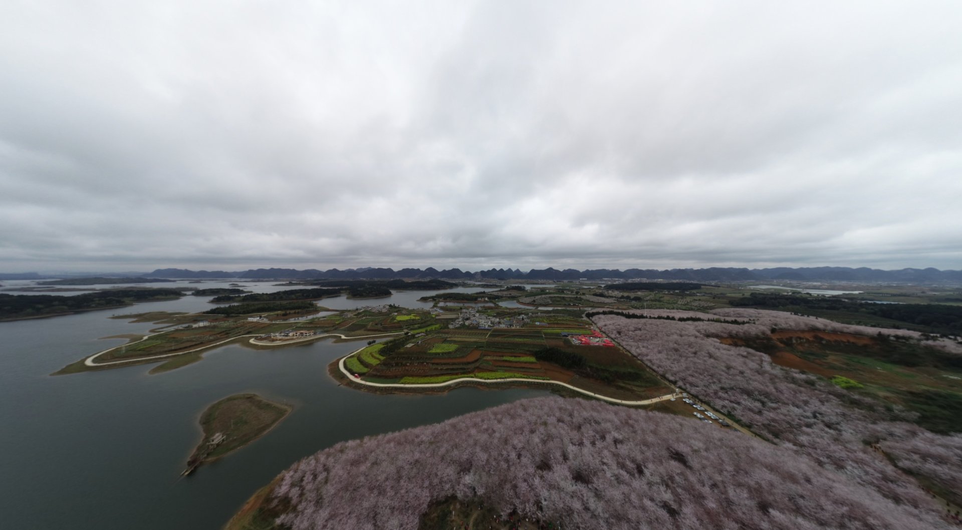 贵州省安顺市平坝农场