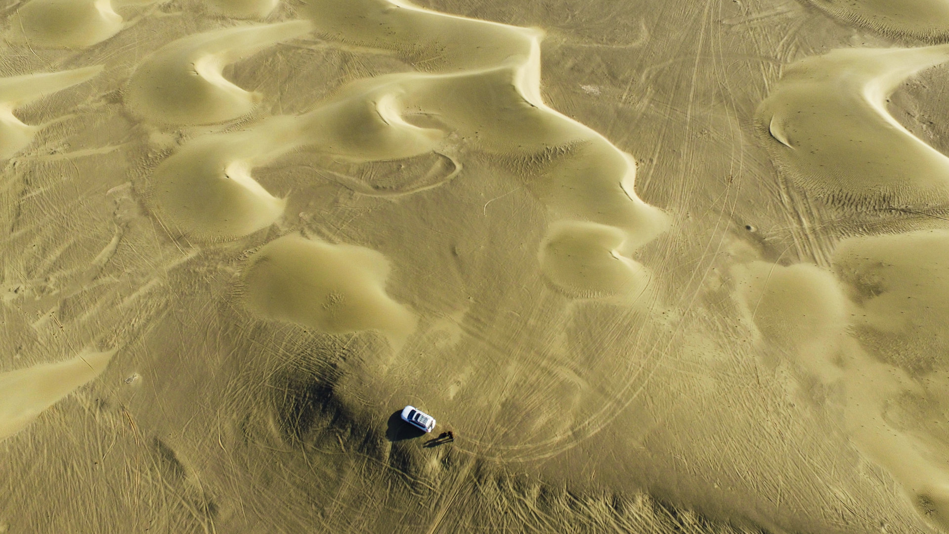 新疆巴楚县·下河林场·黑山·沙线