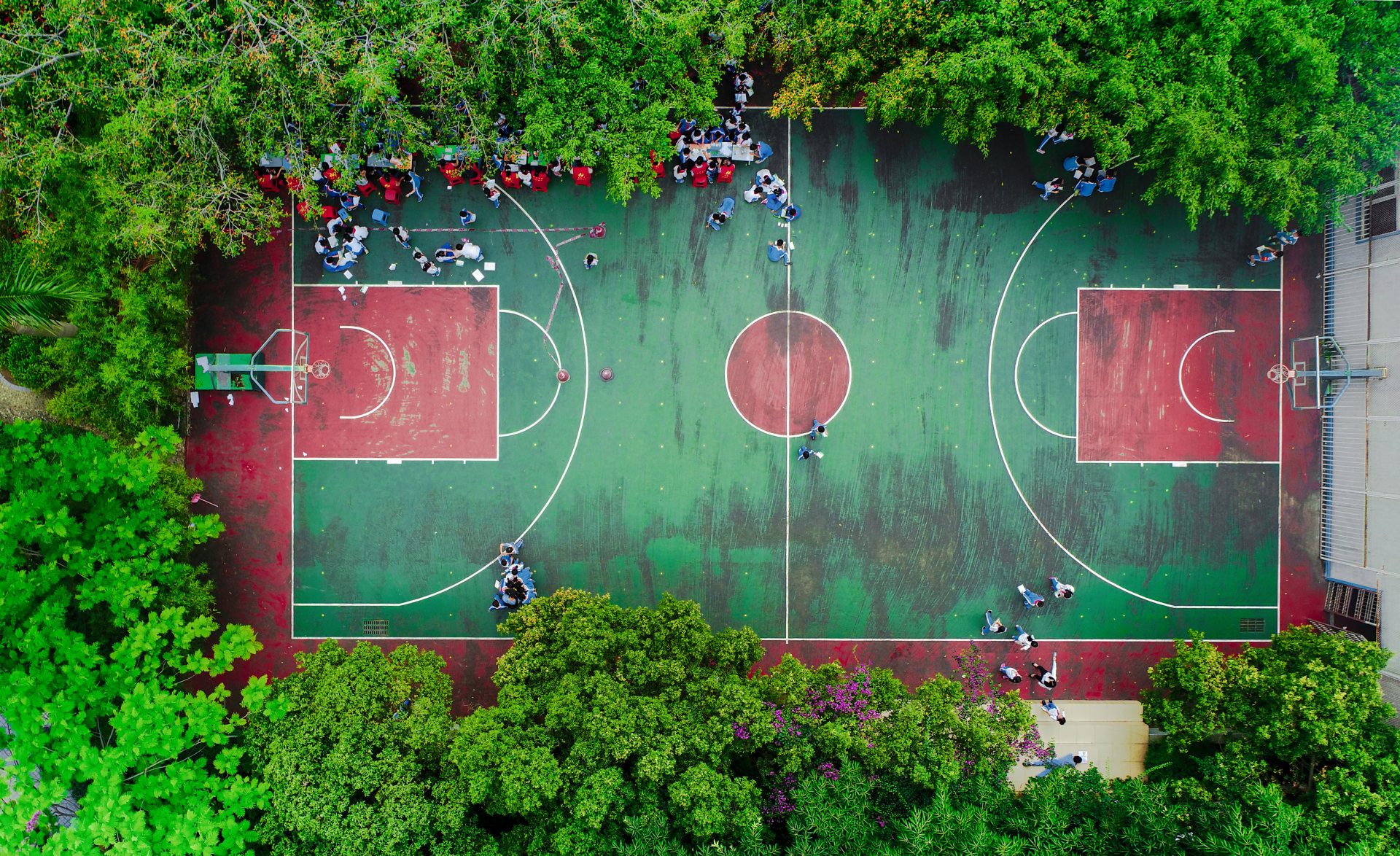 夏日校园图片图片