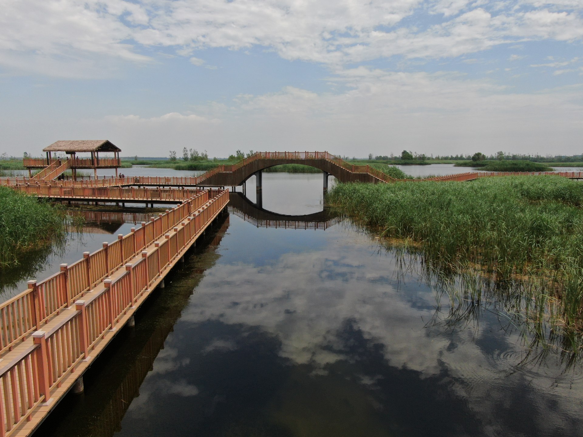 白洋淀湿地公园