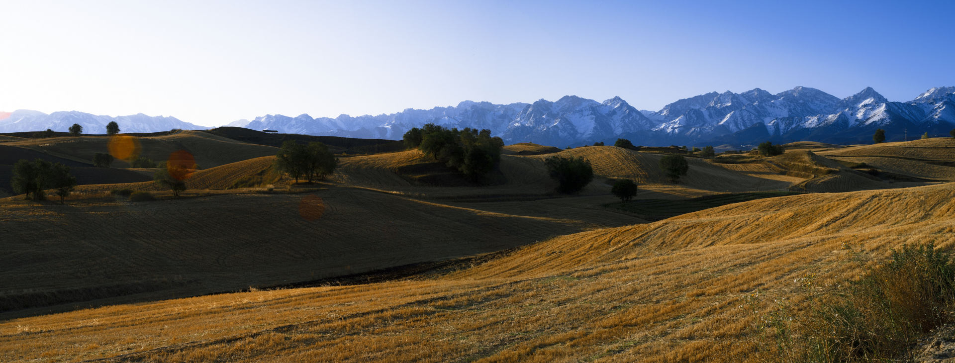 江布拉克秋日(全景图,奇台,风景,2019)