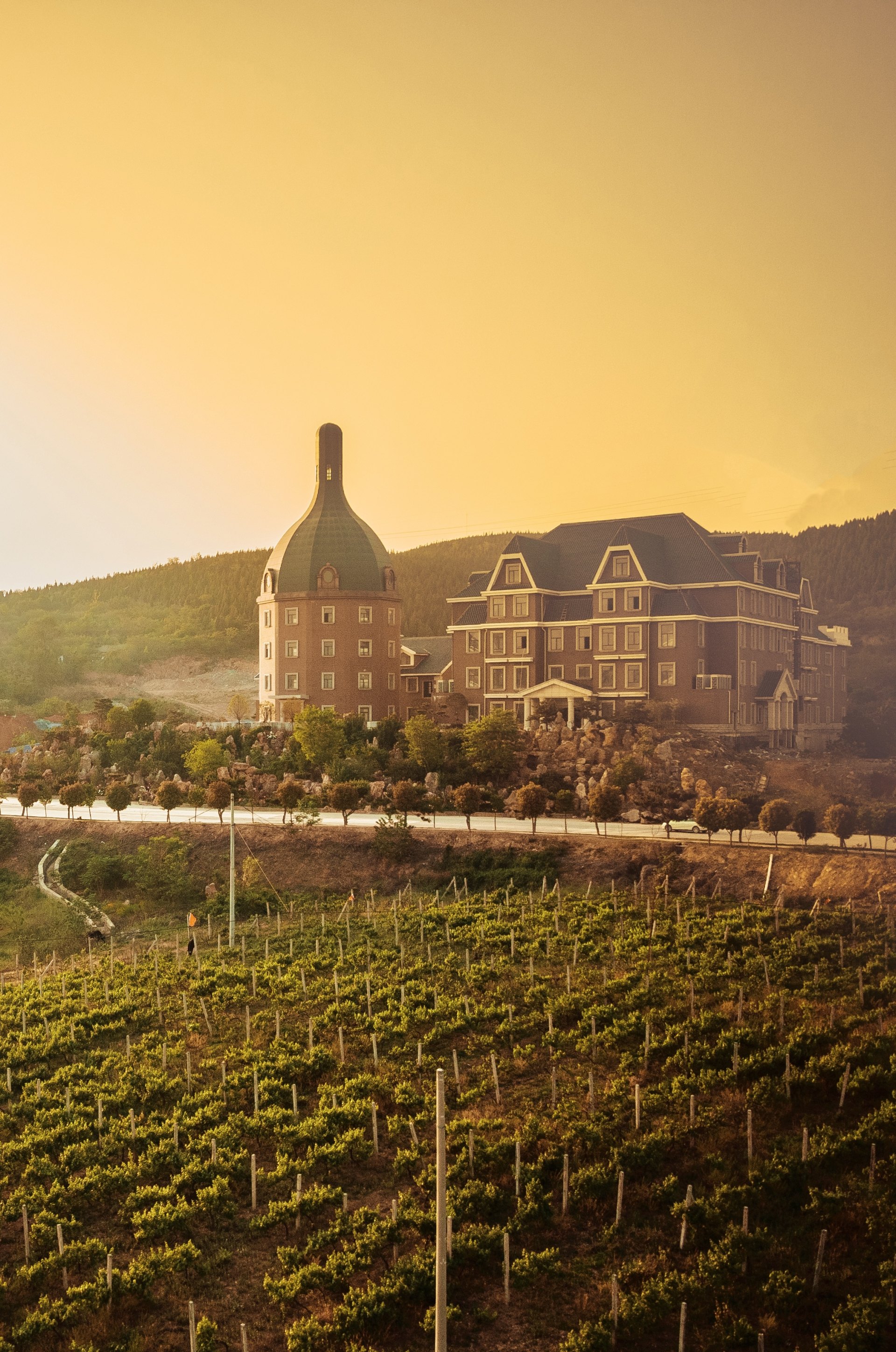 密登堡葡萄酒庄