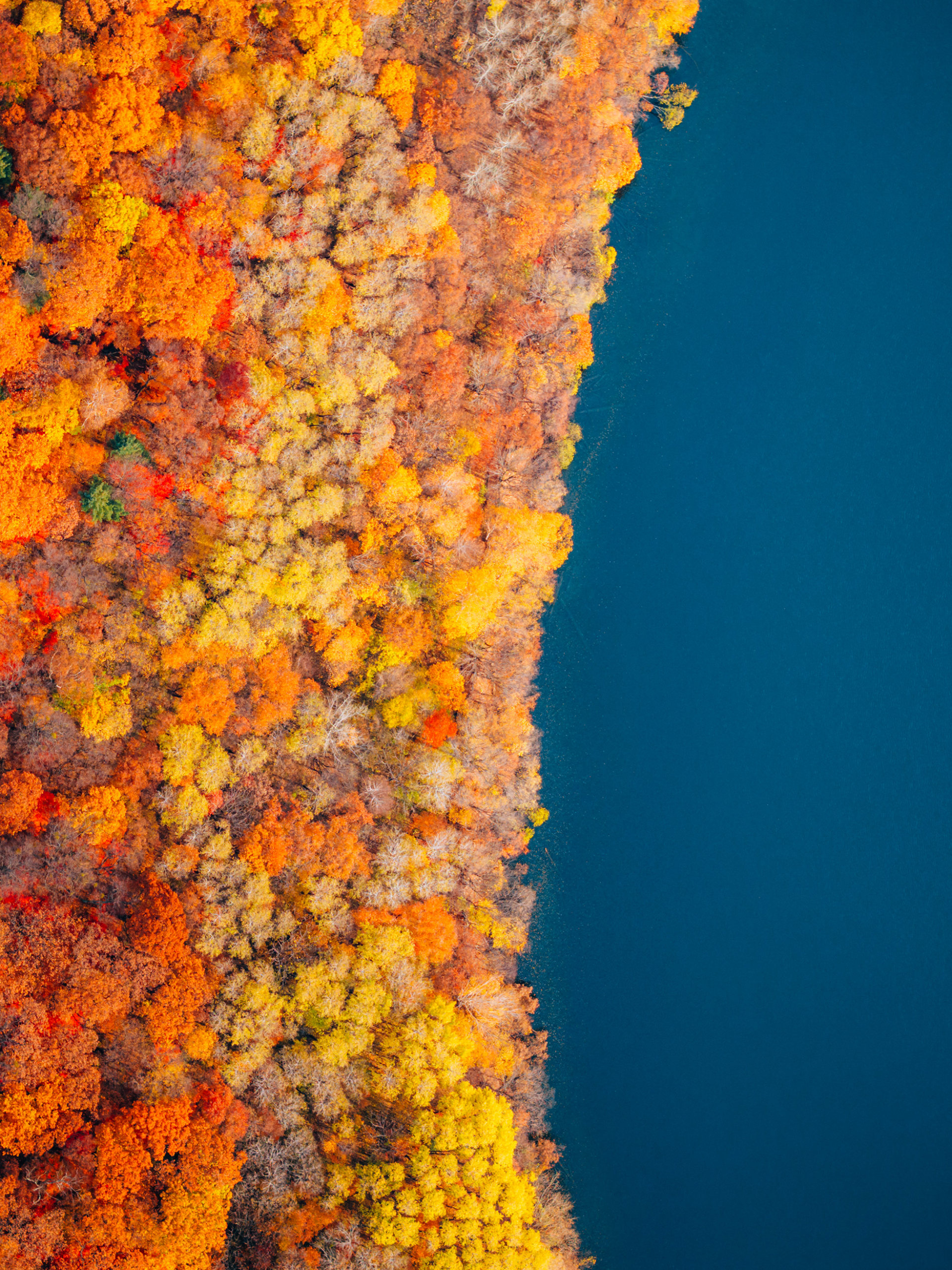 the-world-s-biggest-drone-photo-and-video-sharing-platform-skypixel