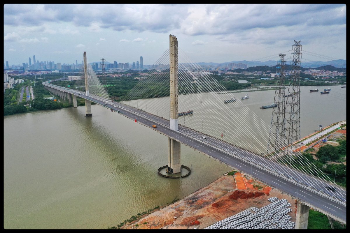 新造珠江特大桥图片