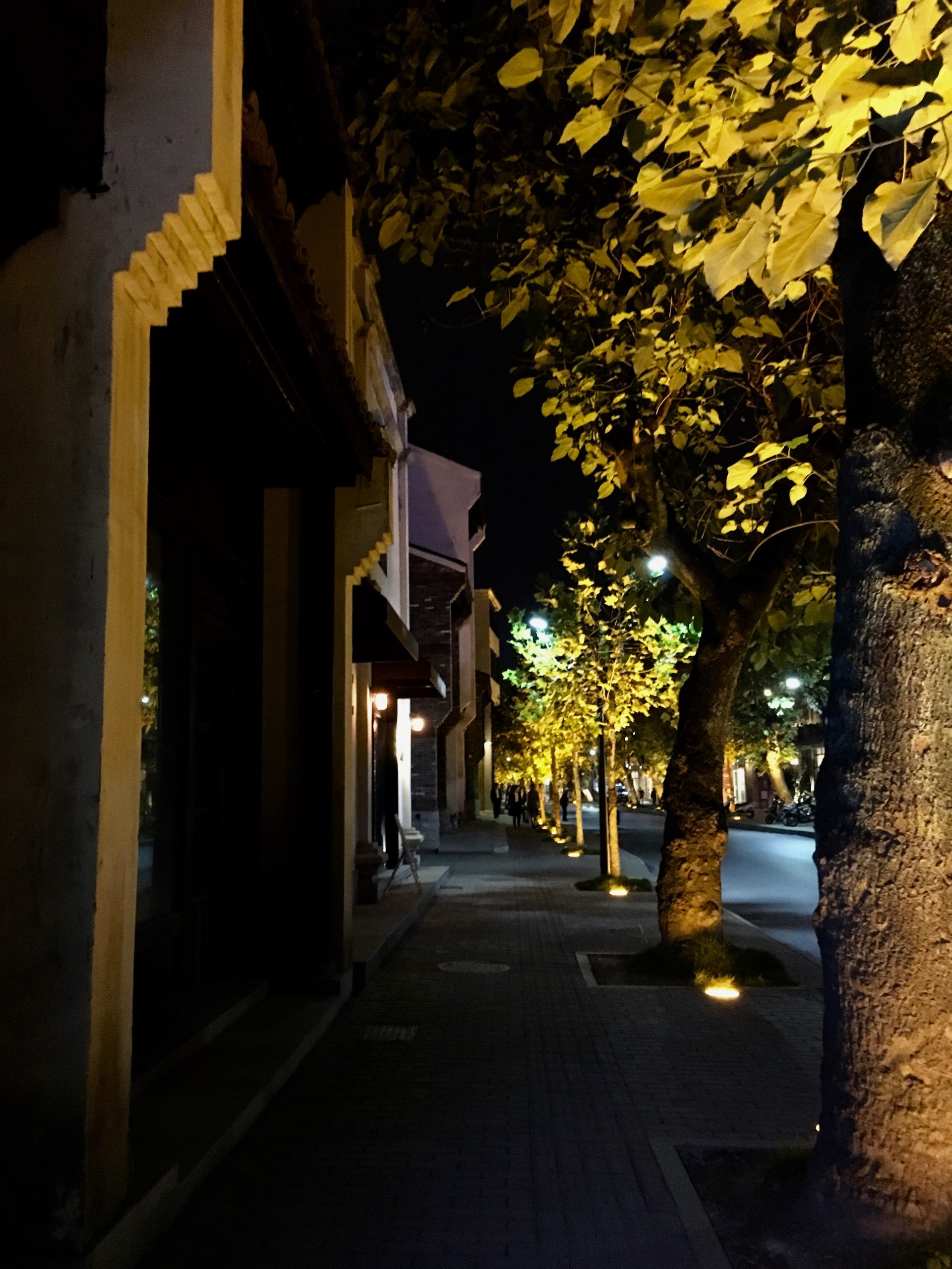 小巷夜景 真实图片