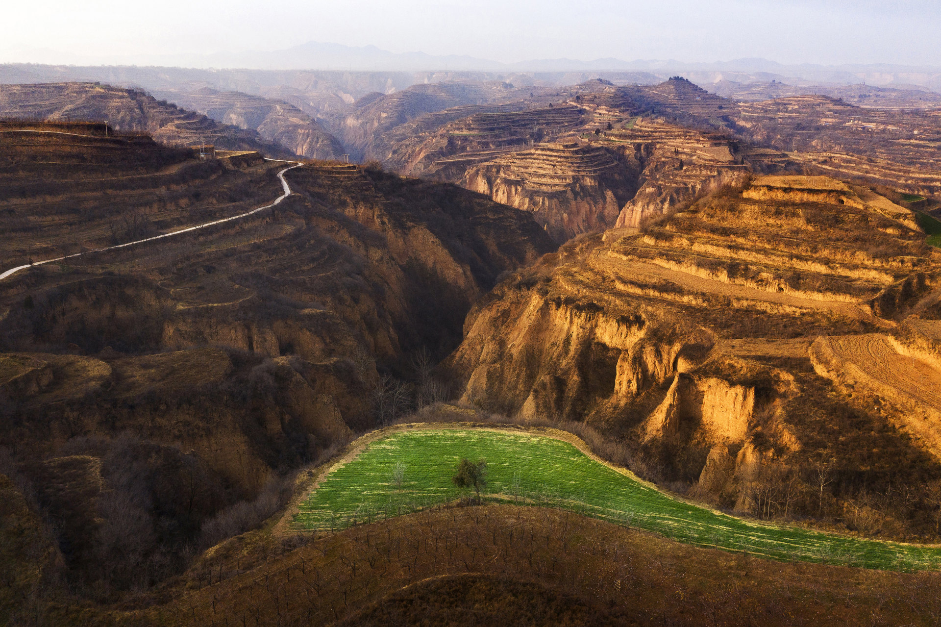沟壑纵横一抹绿