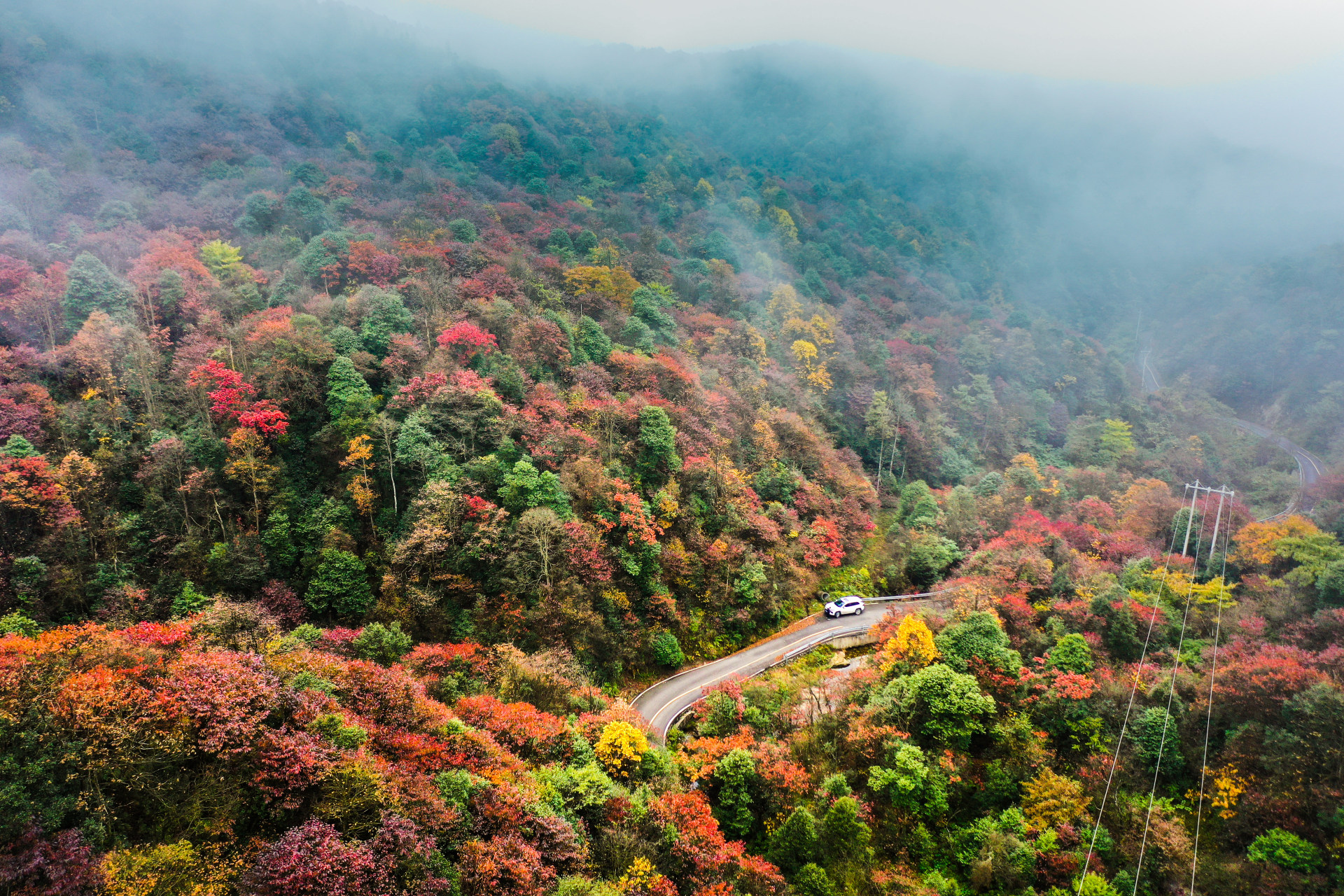 云南小草坝国家级原始森林保护区