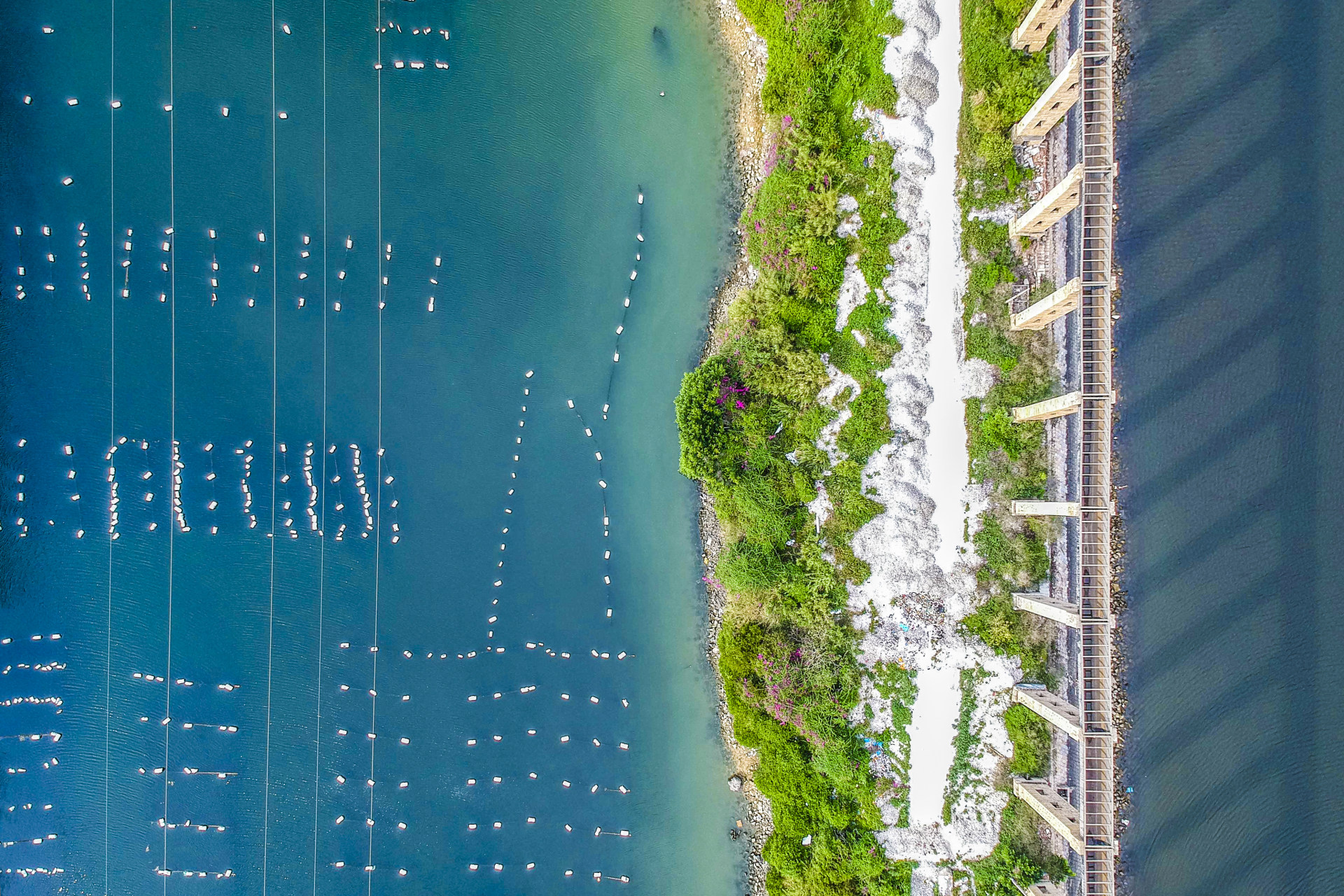 美丽的东山岛八尺门61向东渠