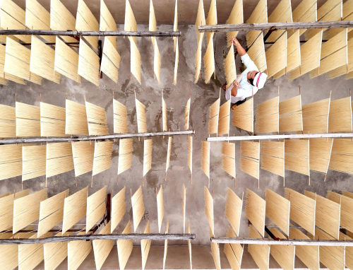 Hanging up Noodles