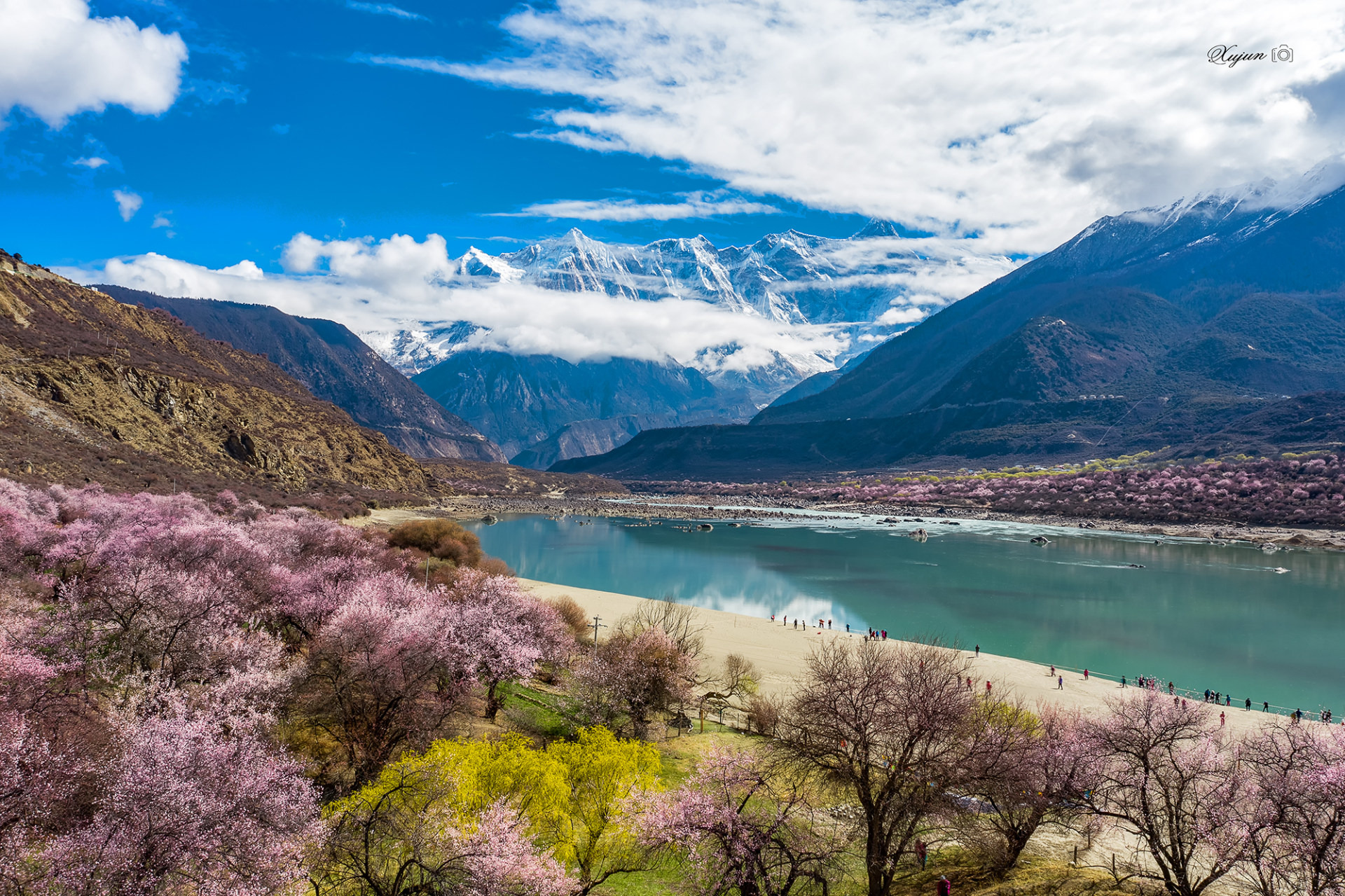 南迦巴瓦 雪域桃花